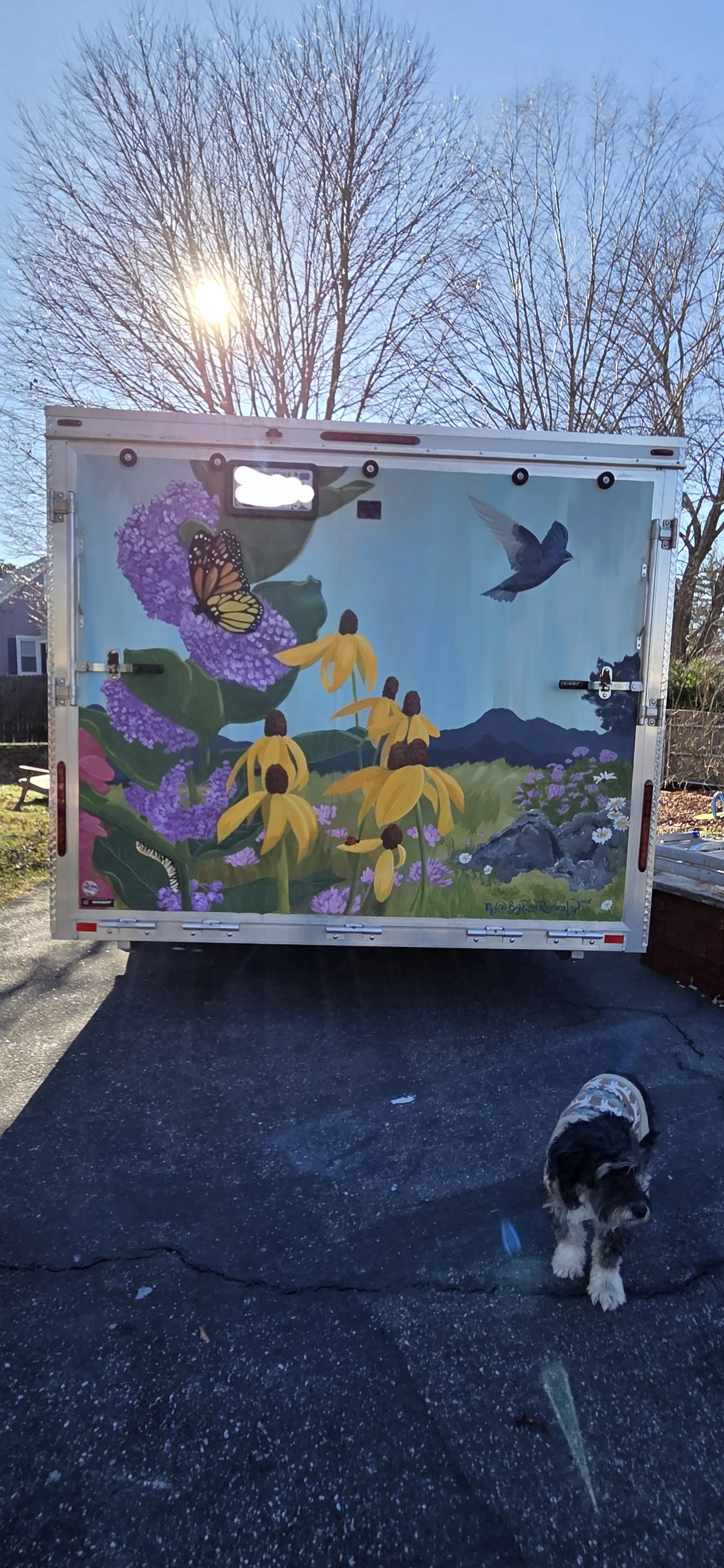 Enquiry ID 171459(7).jpg