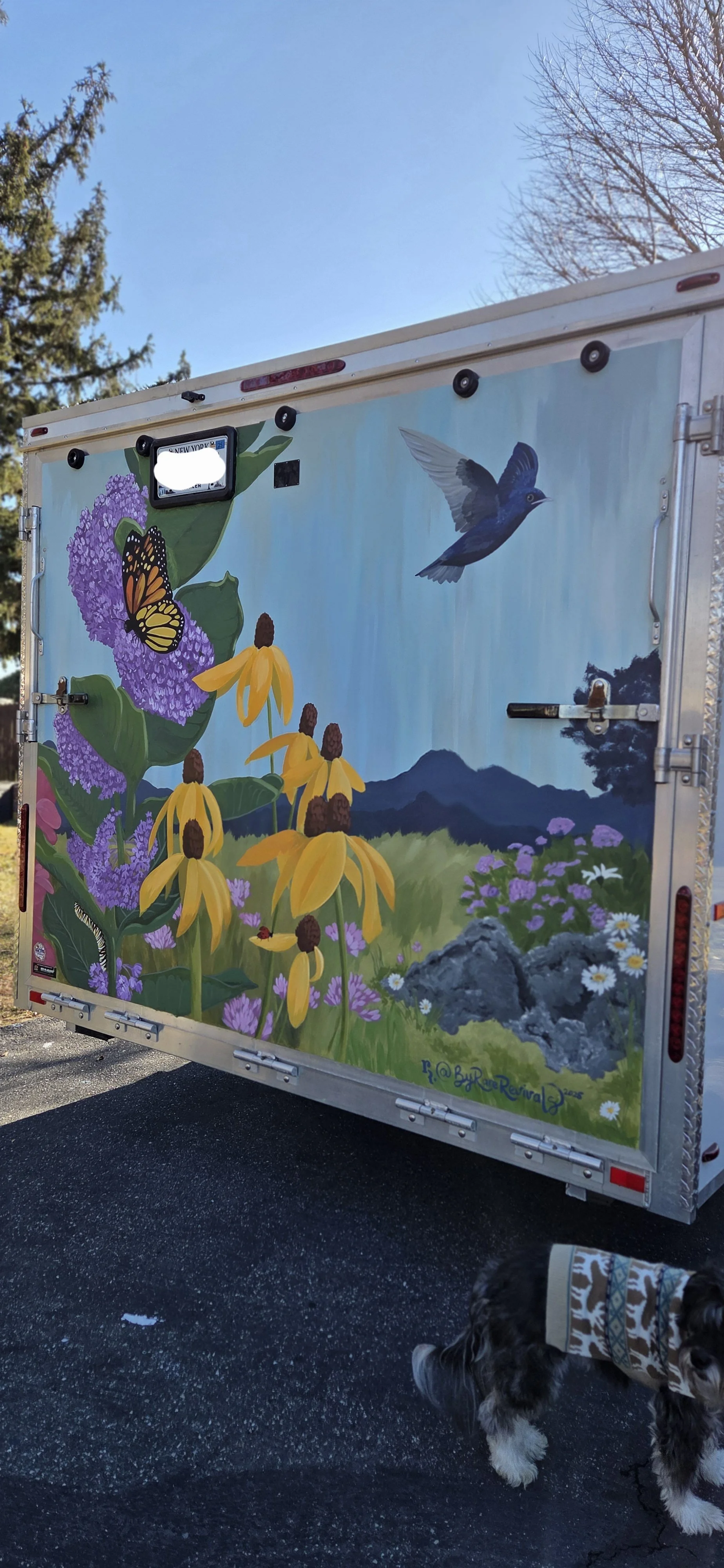 Enquiry ID 171459(6).jpg