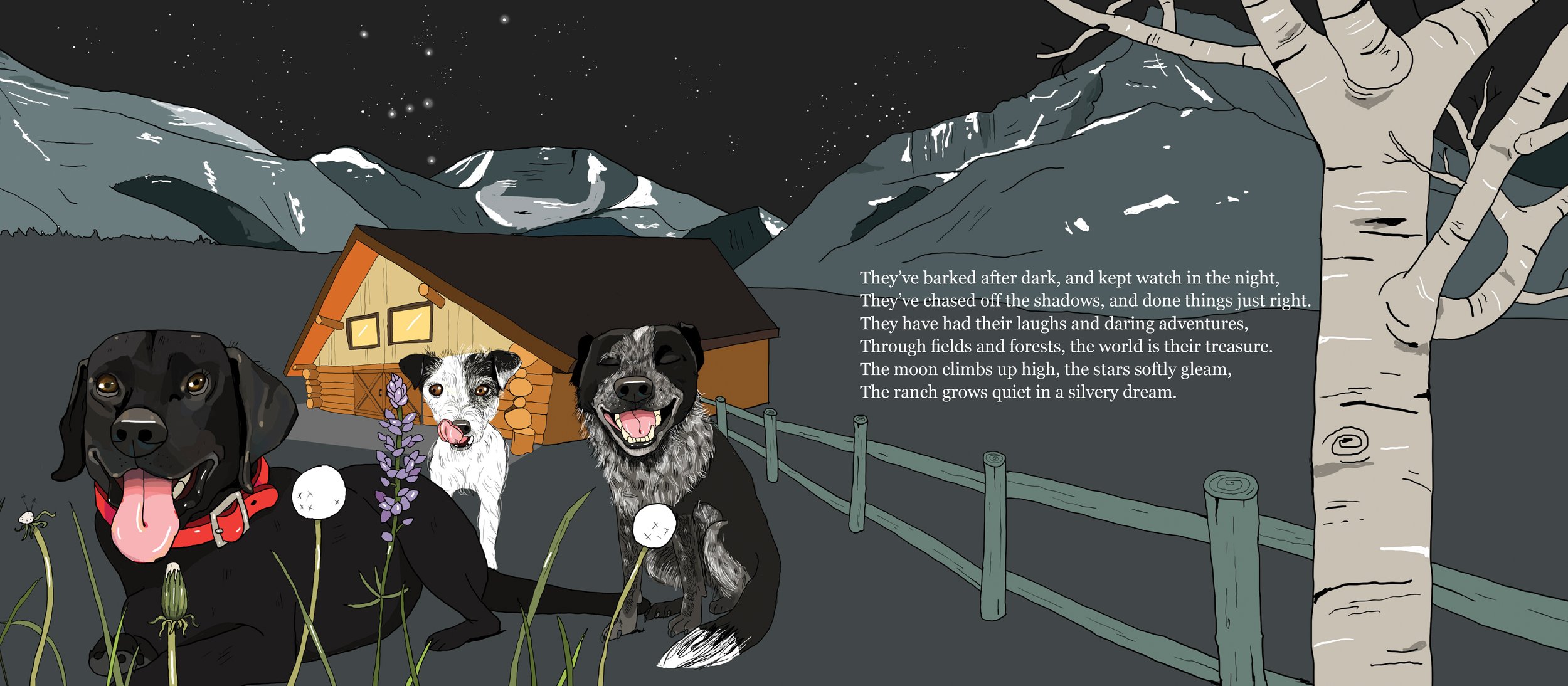 BarksAtDark 12.jpg