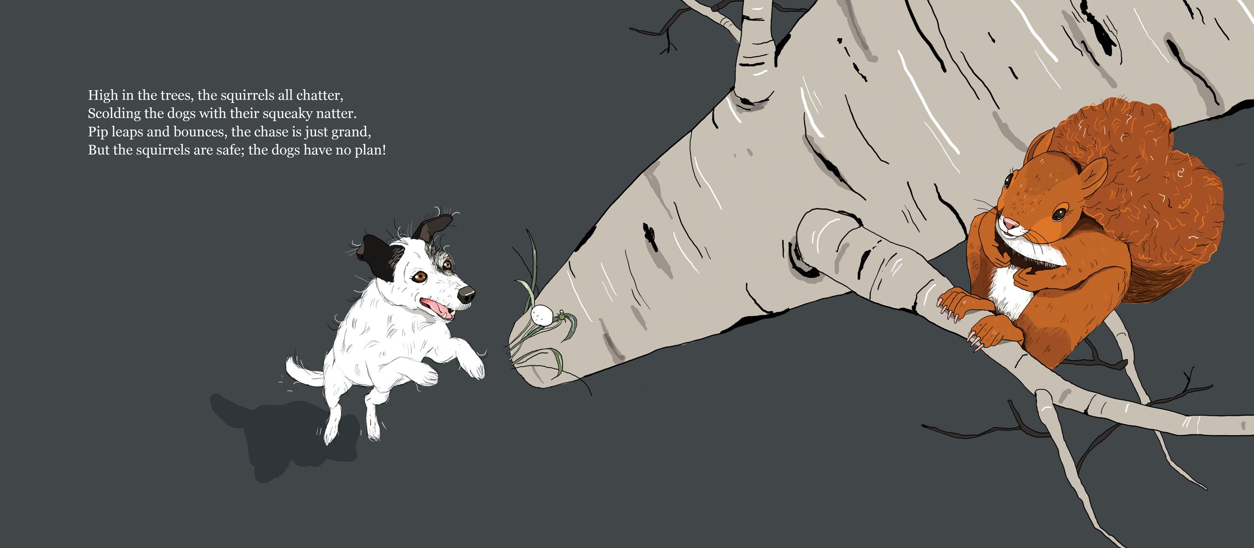 BarksAtDark 11.jpg