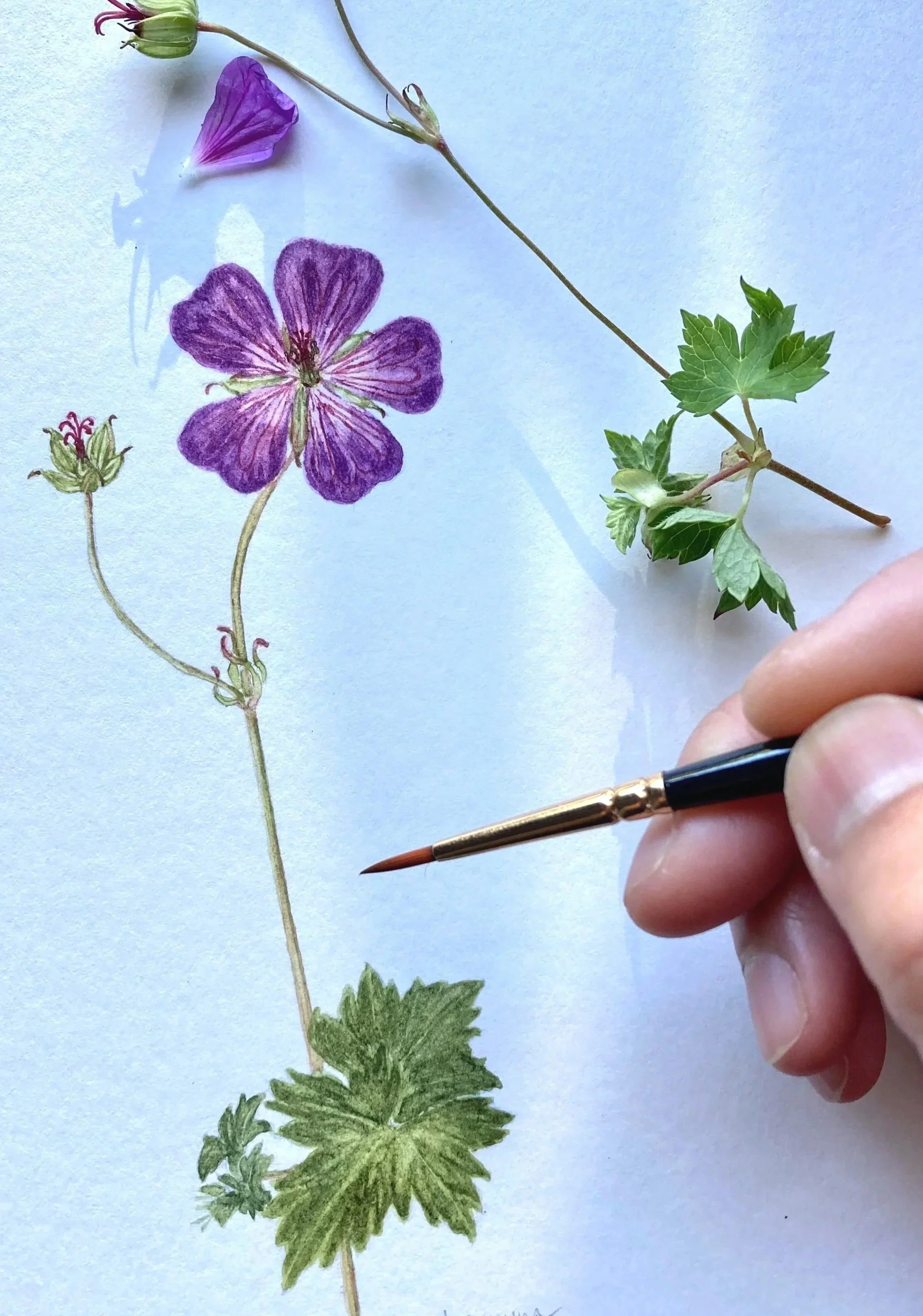 Wild Flower #1
