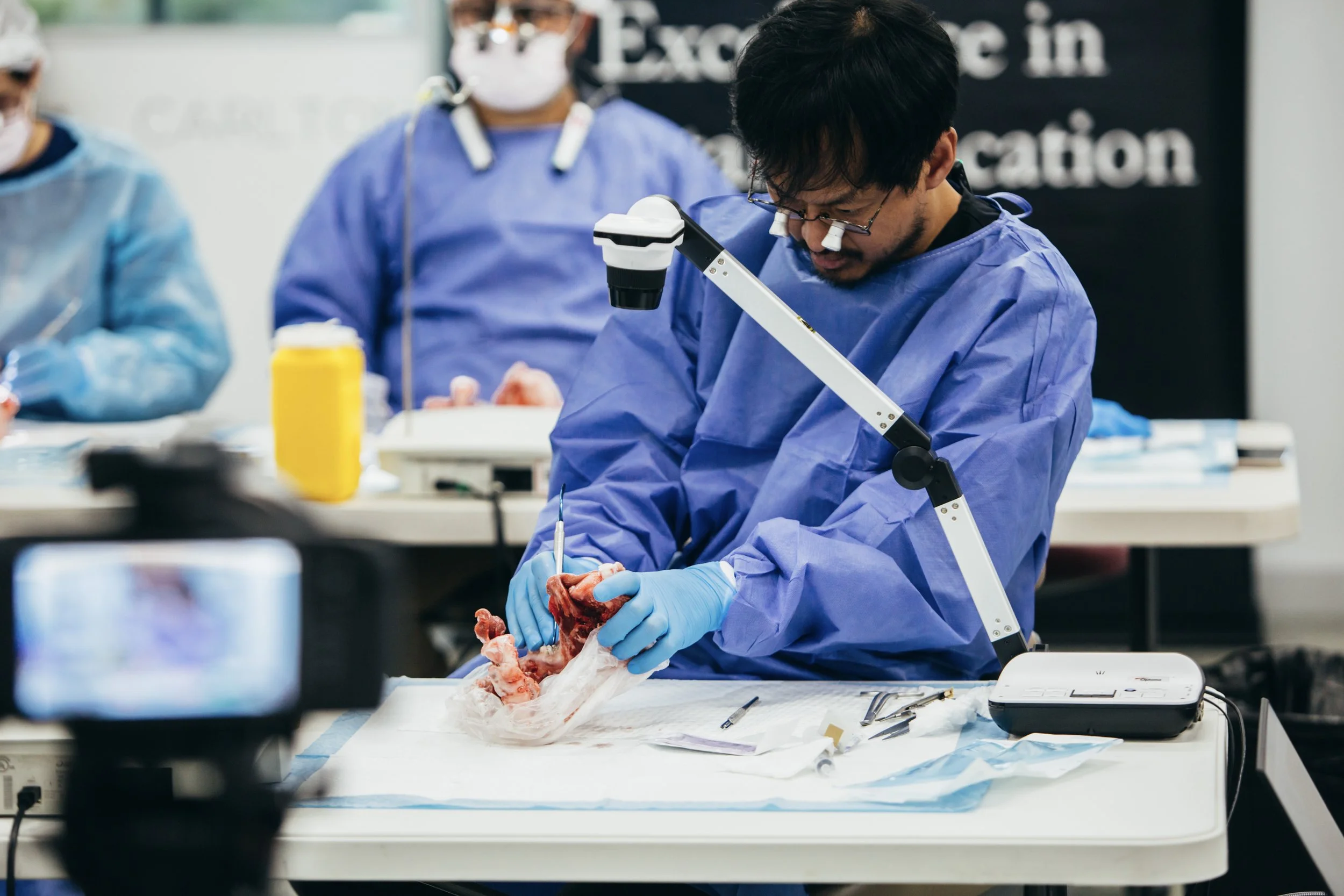 pigs-head-workshop-dentist-oral-surgery-training