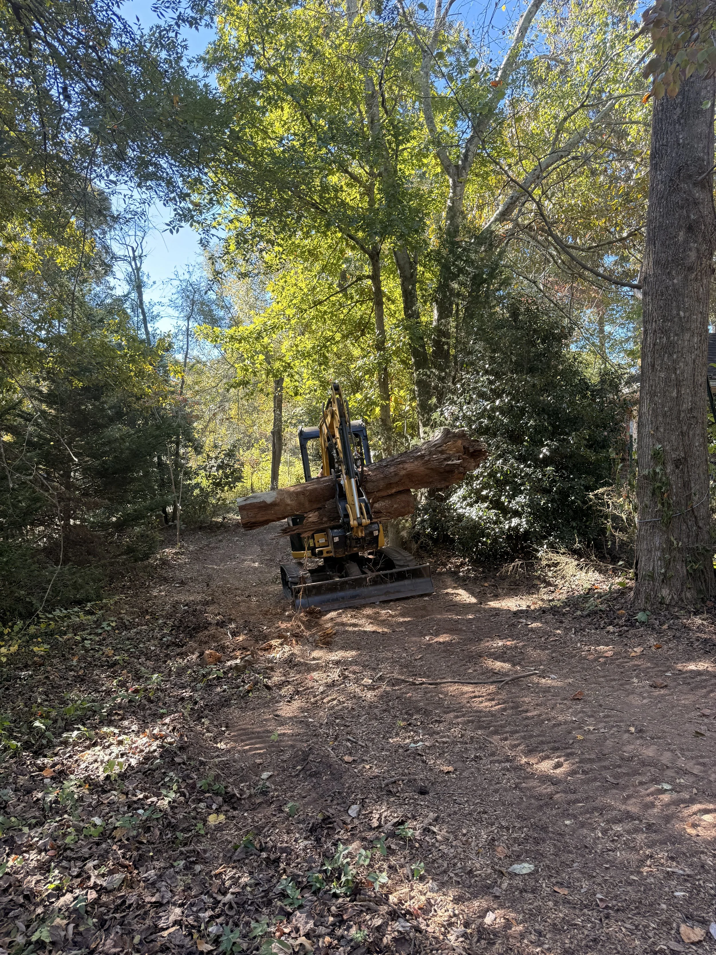 A small excavator with a claw attachment is lifting a large fallen tree trunk in a wooded area with dirt trail, surrounded by green trees under a blue sky.