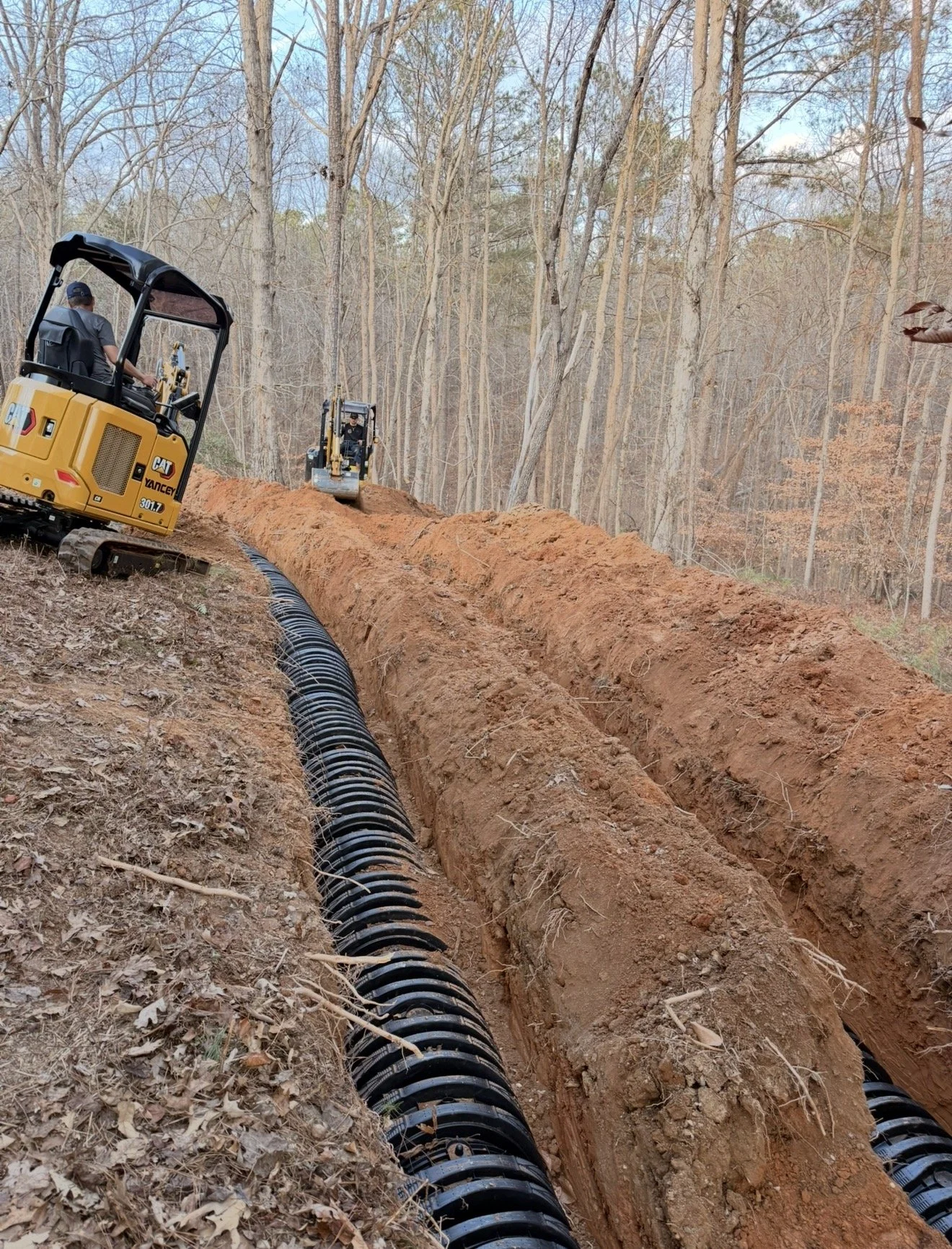 Construction workers installing a large drainage pipe in a wooded area with trees in the background.