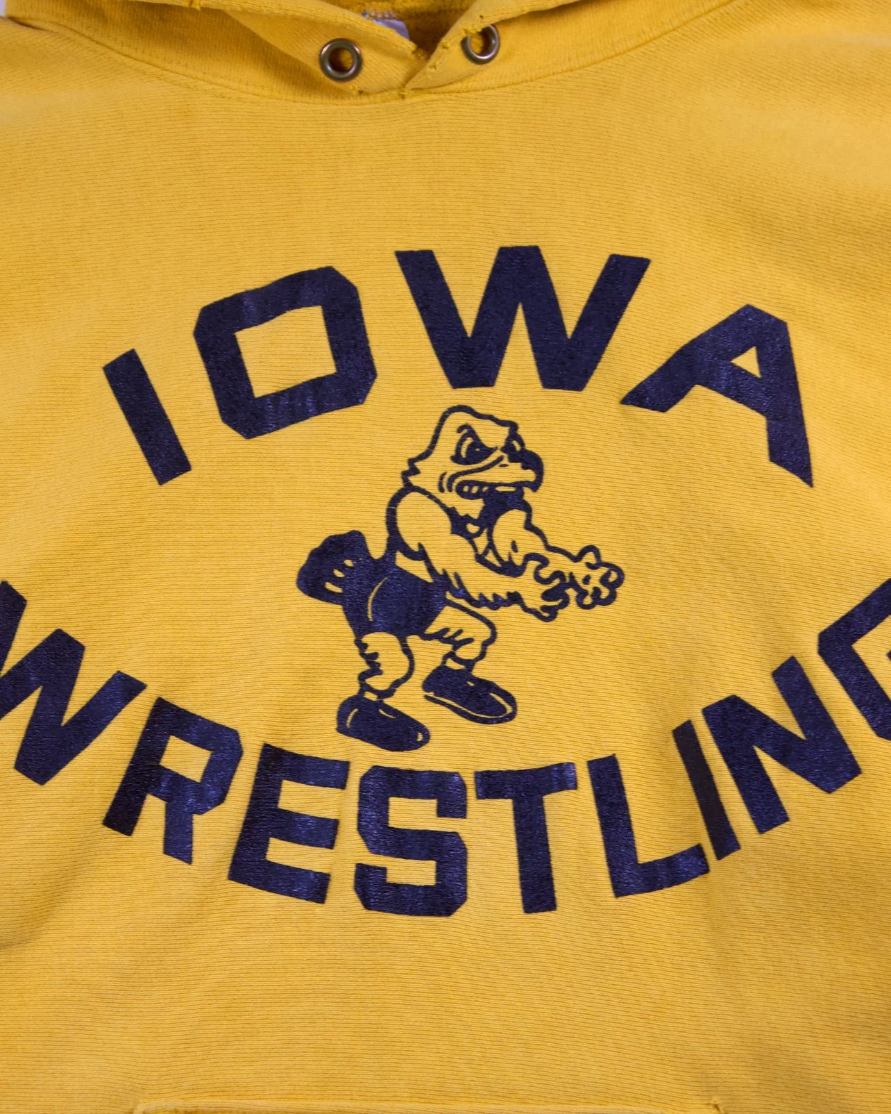 Iowa Wrestling Team Issue