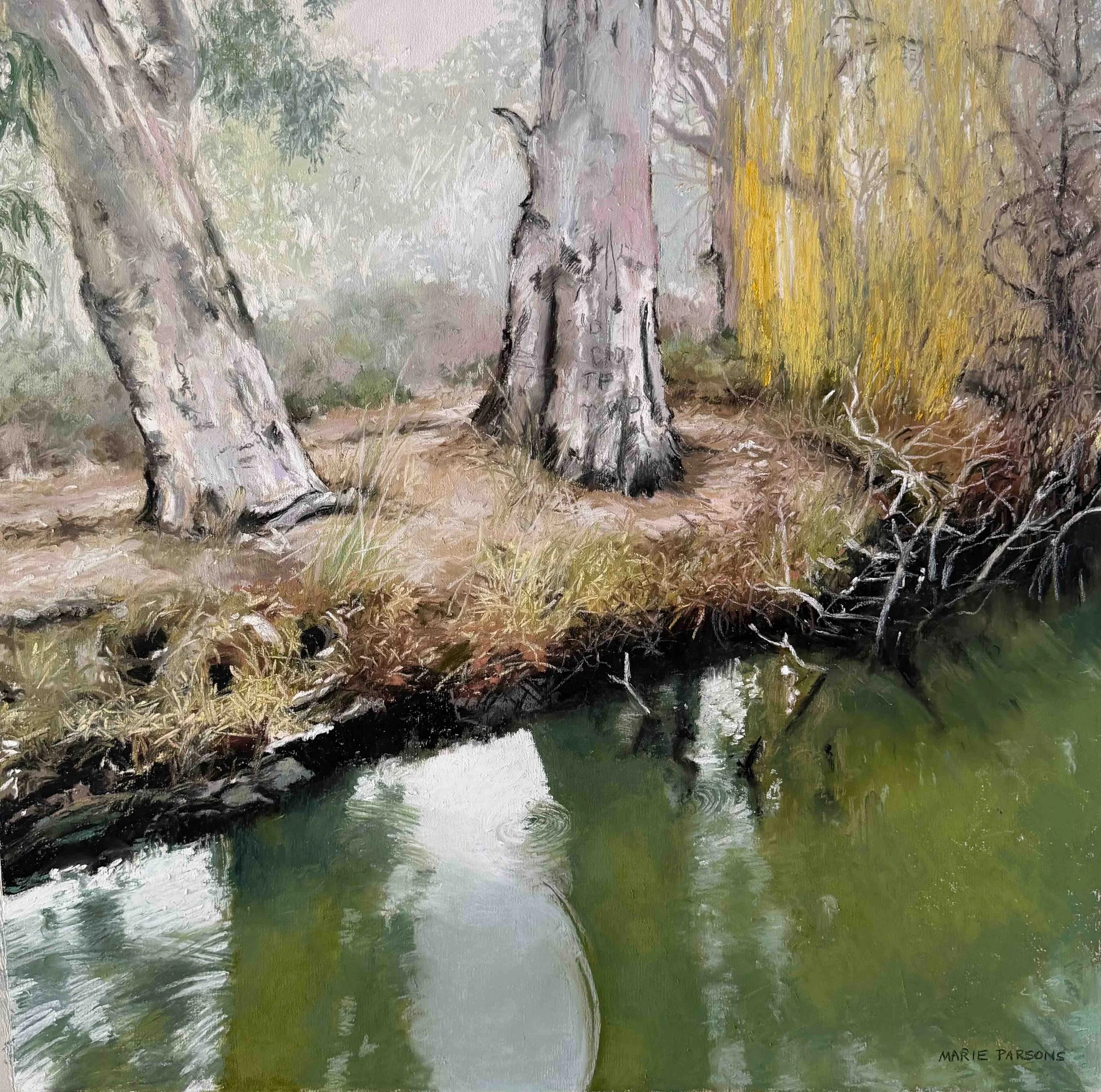 Misty Morning on the Murray