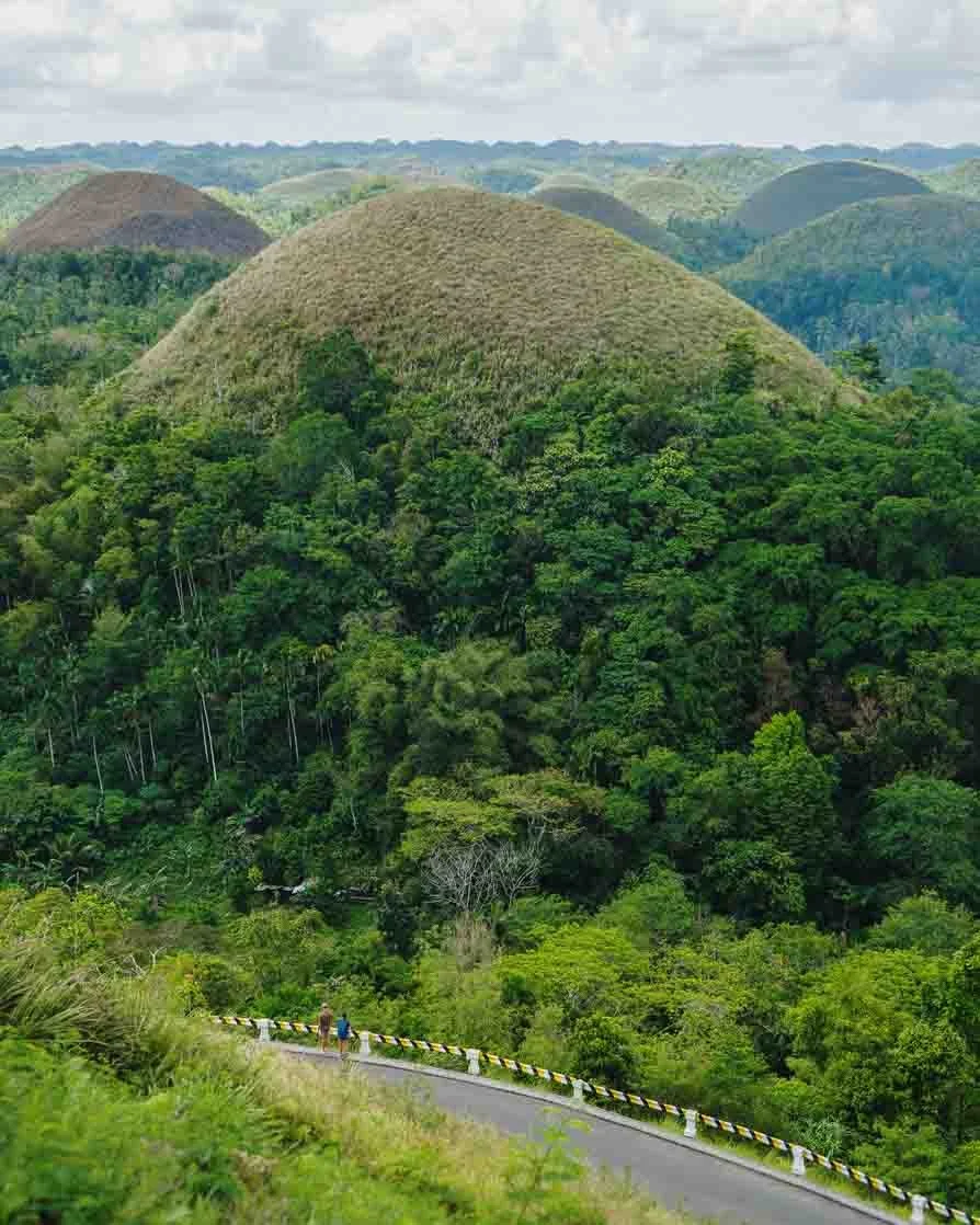 Lush green tropical forest with large mound-shaped hill covered in grass, and a winding road with two people walking along it.