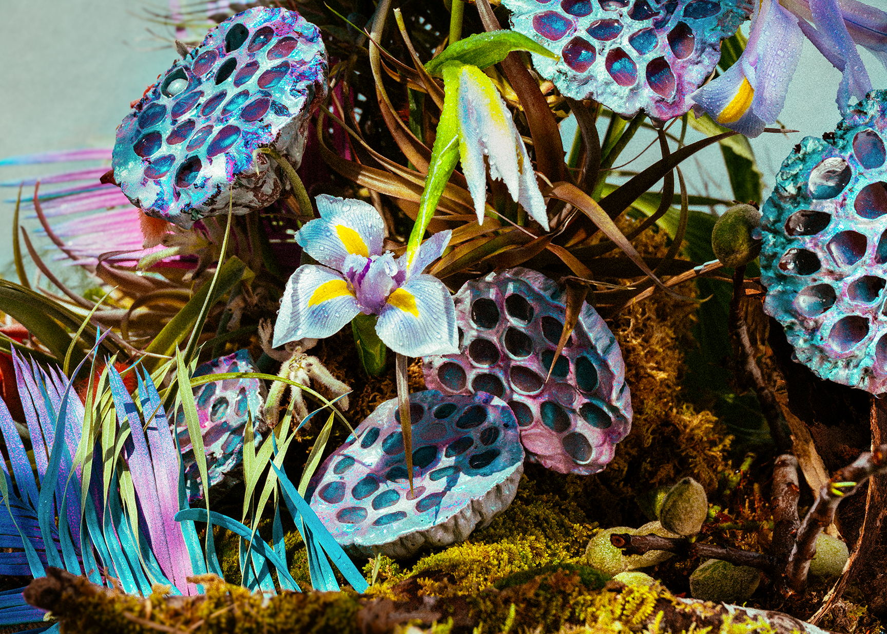 lotus-renaissance-vibes-web.png