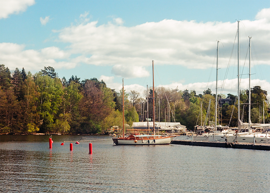 several large sailboats are parked in a dock, surrounded by a lush green forest and a partly cloudy sky