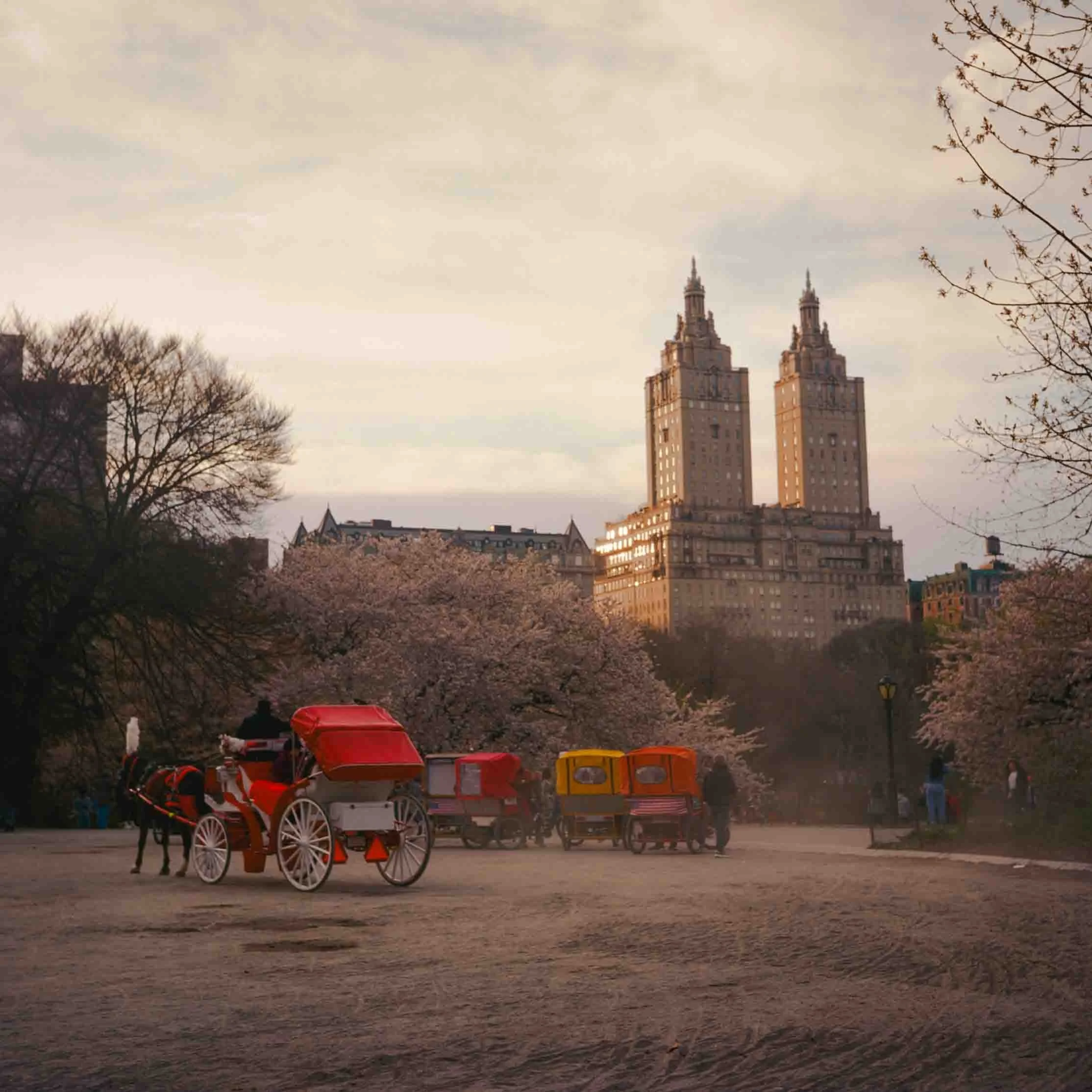 central-park-nyc-horse-carriage.jpg