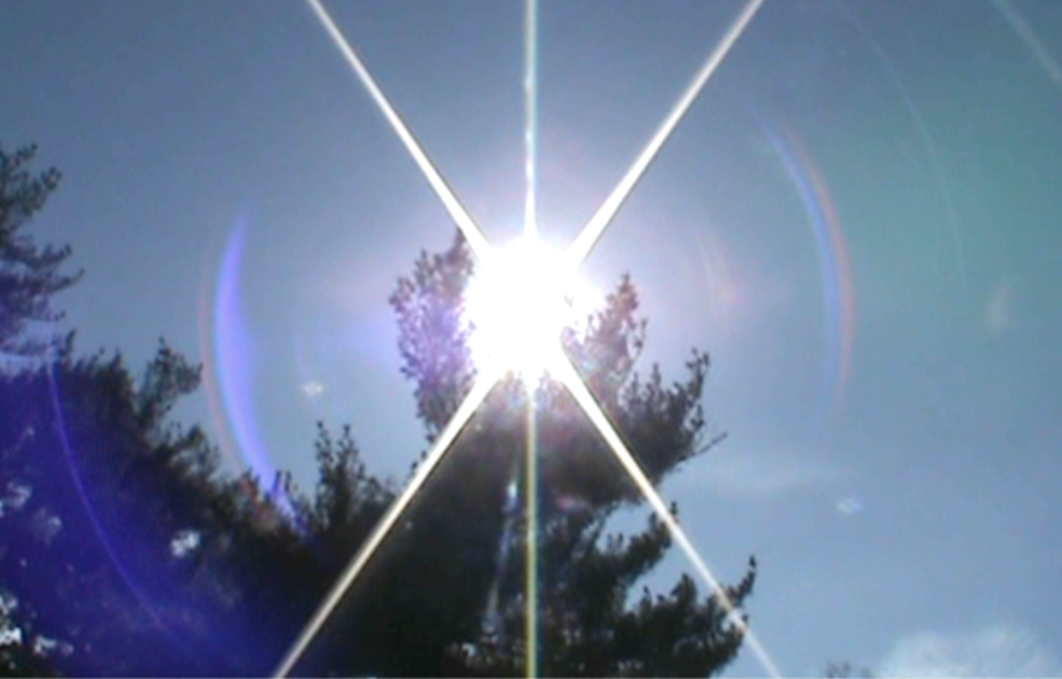 Screenshot 2026-02-19 at 11.03.25 PM.png