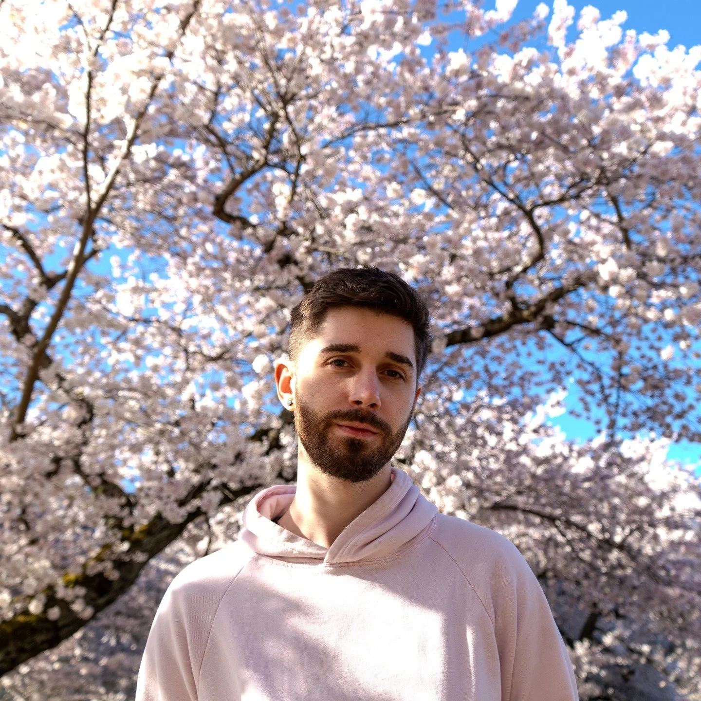 Sam and Cherry Blossoms at the UW Quad