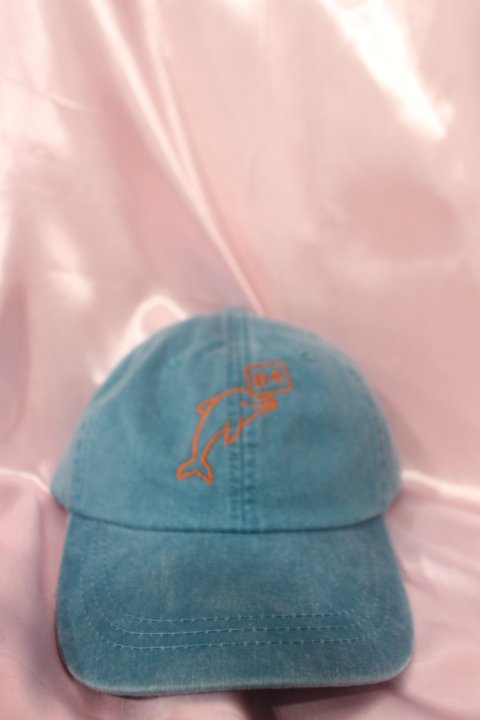 And We Remain Undefeated hat | Cute Miami Dolphins hat