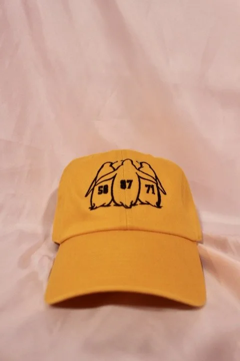 3 Pens hat | Cute Pittsburgh Penguins hat