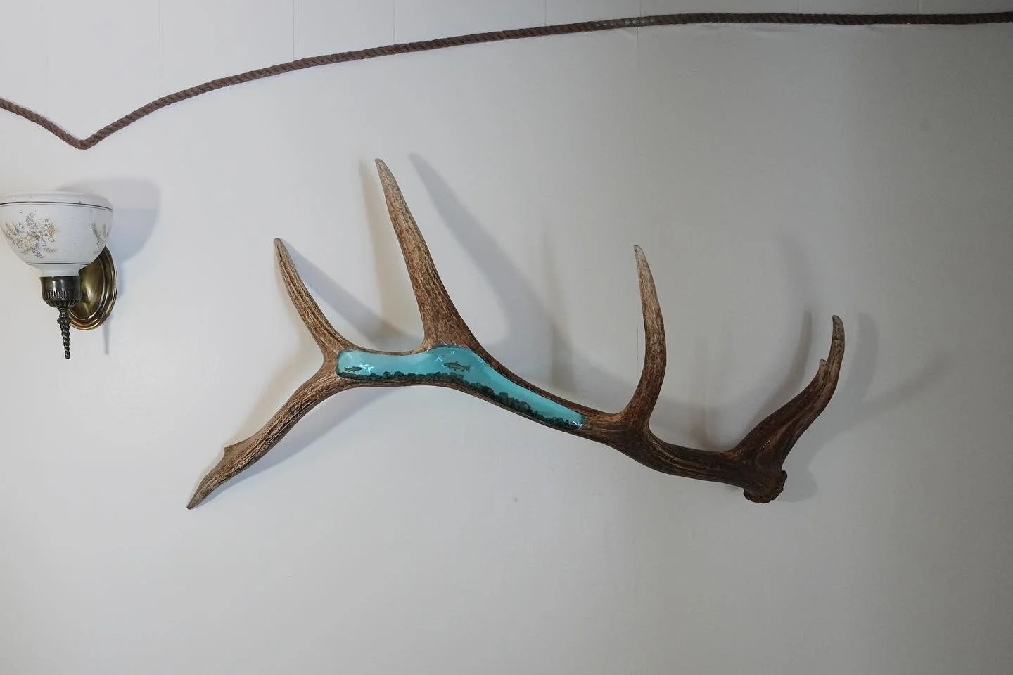 4AD0BBF1-044D-4E49-84F0-40EC2A0FD35E 2.JPG