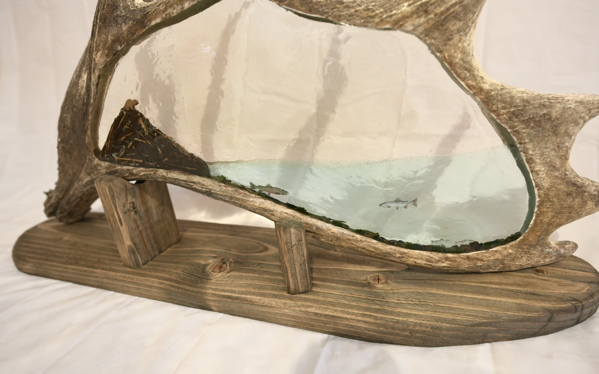 View recent photos 17.png