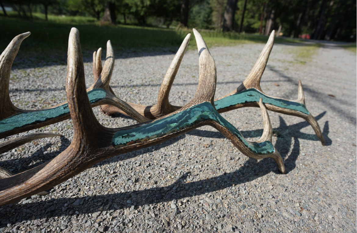 View recent photos.png