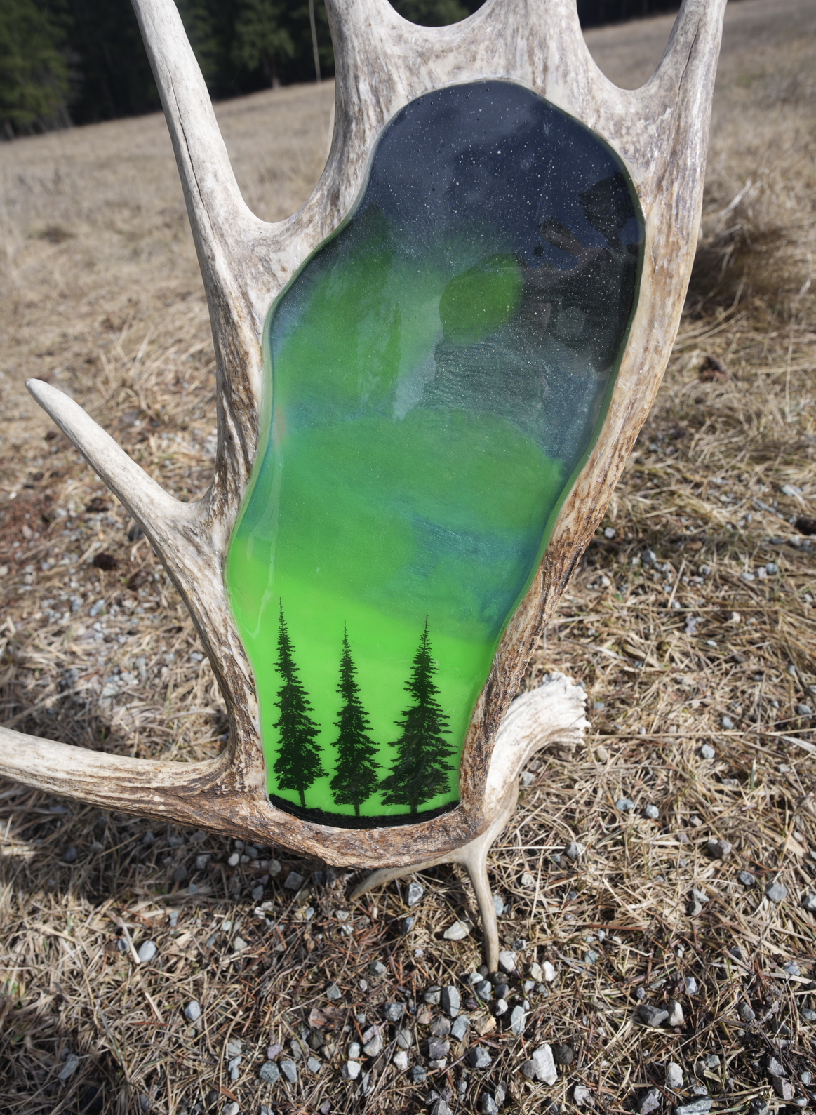 Glow in dark northern lights