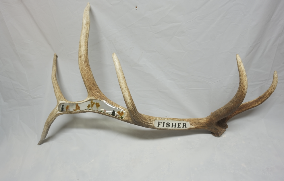 Whitetail deer with name