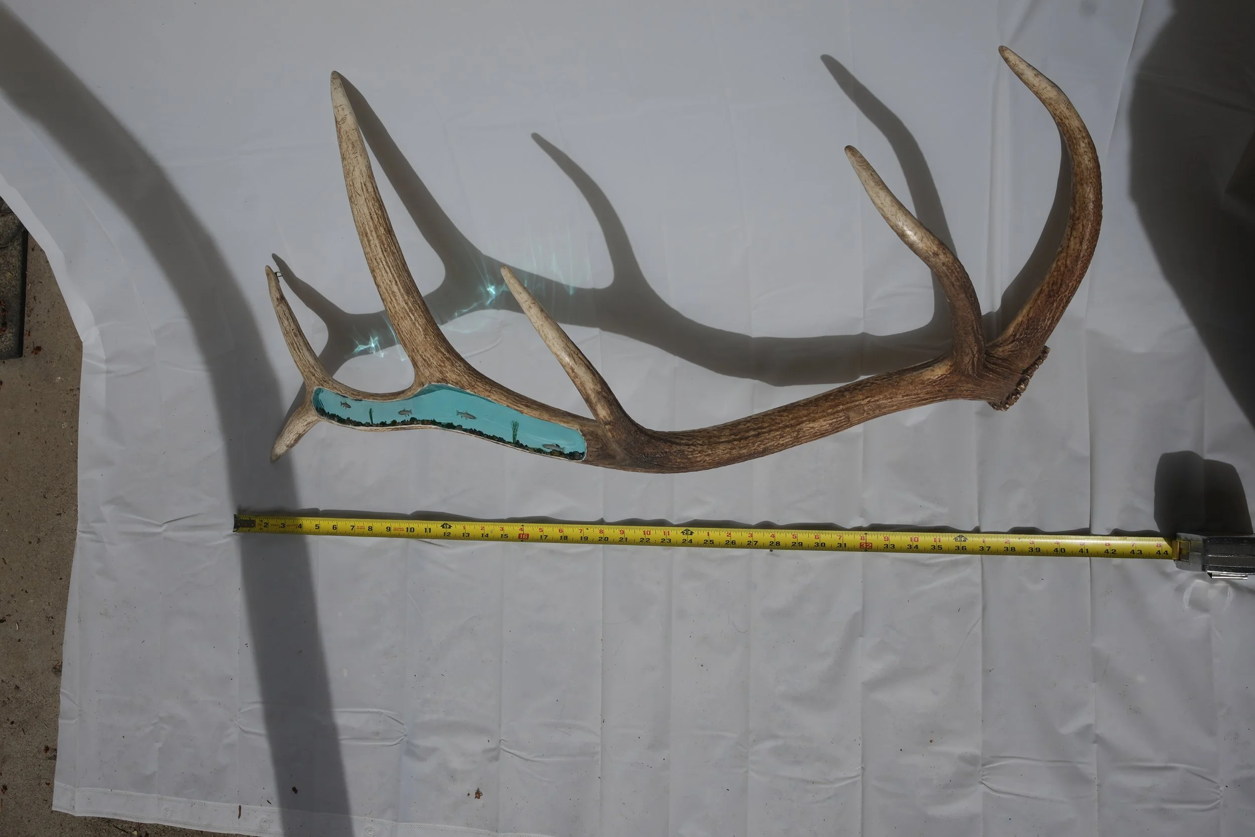 Elk Antler Epoxy Resin River Trout