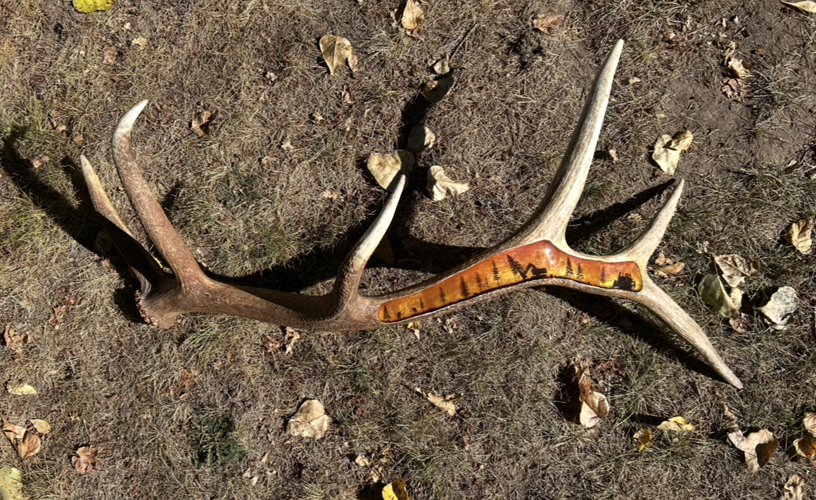 Wildland firefighter