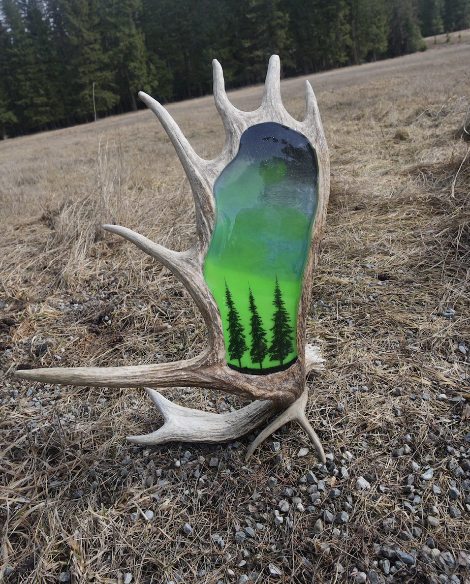 View recent photos 12.png