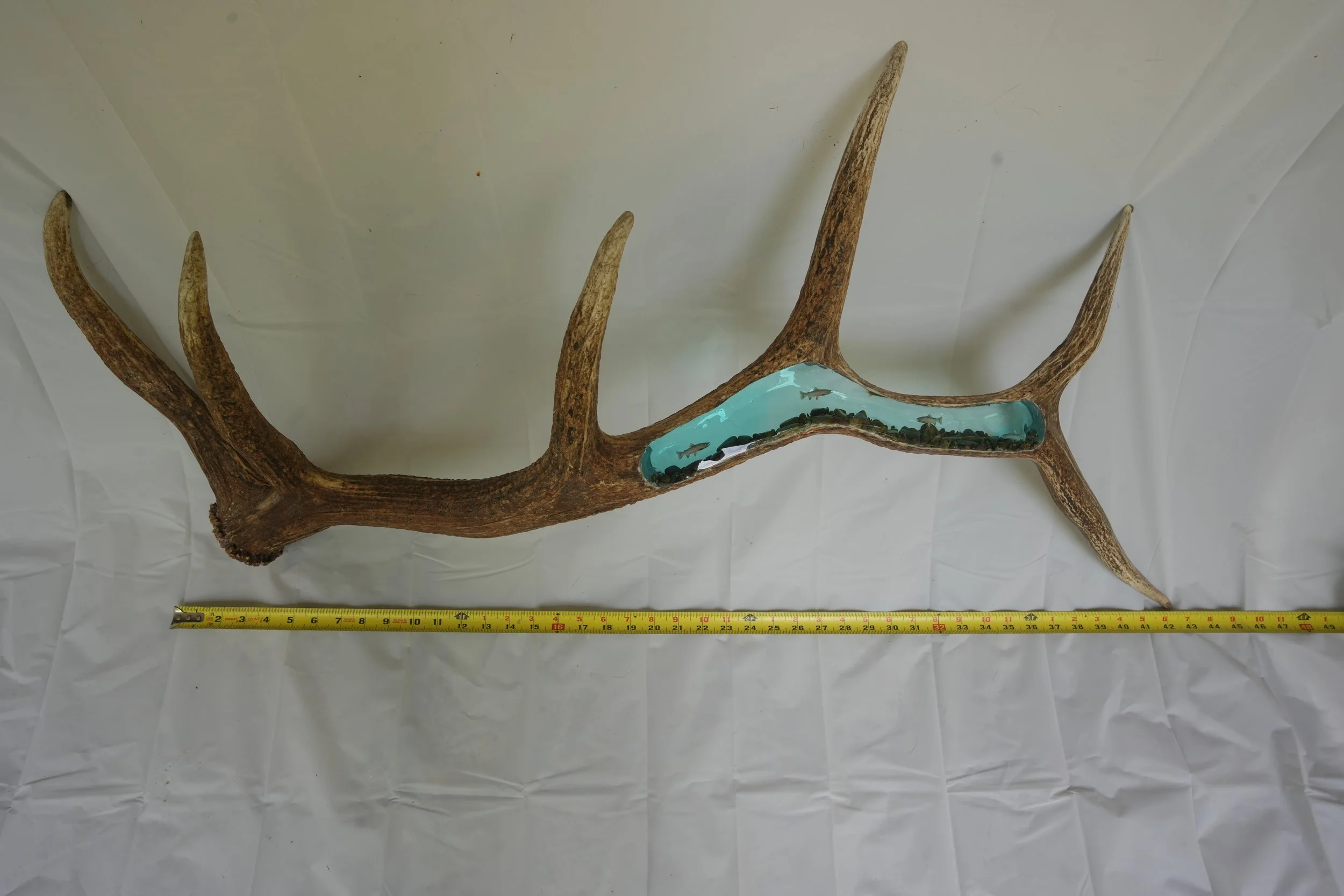 Elk Antler Epoxy Resin River Trout