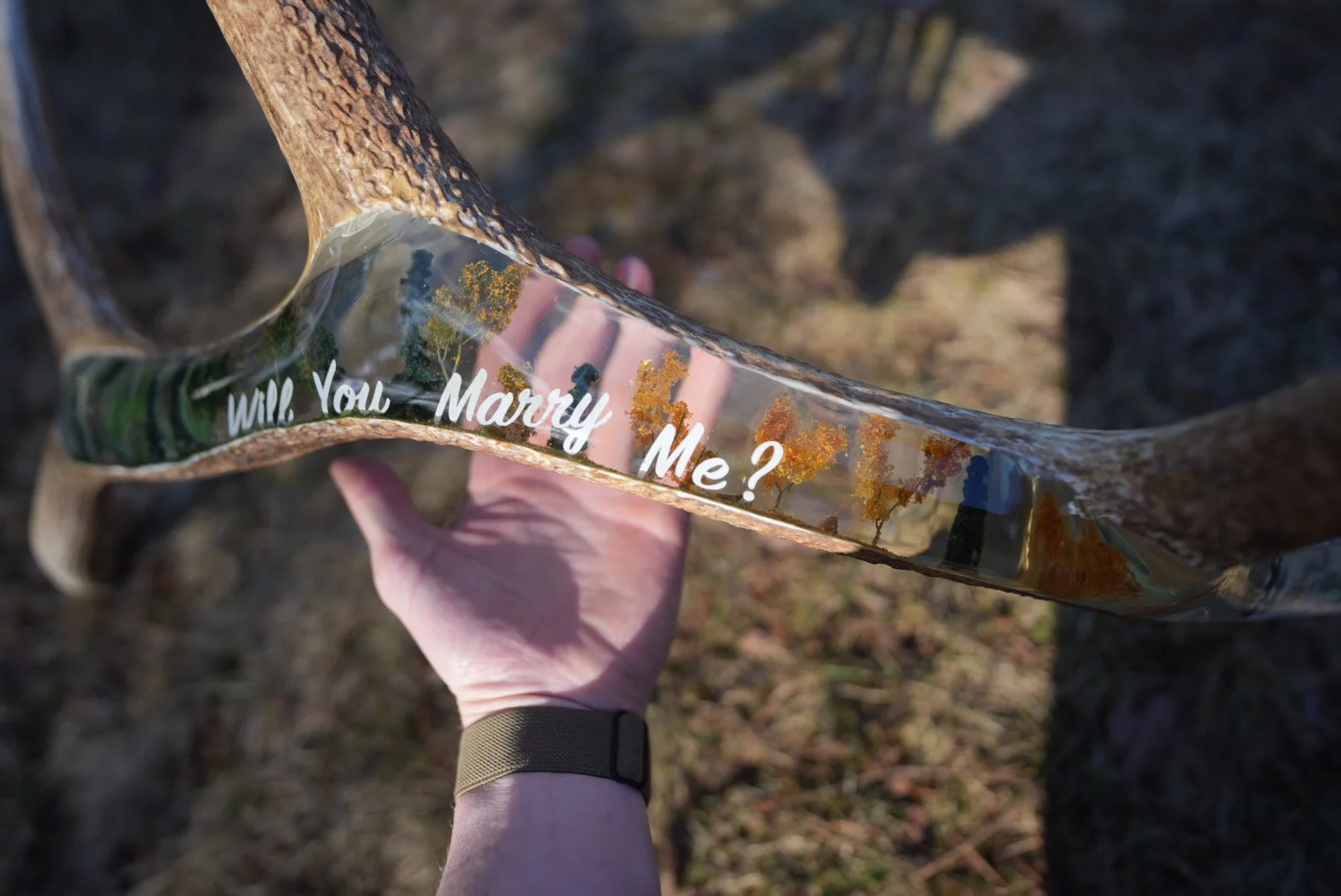 Changing seasons proposal