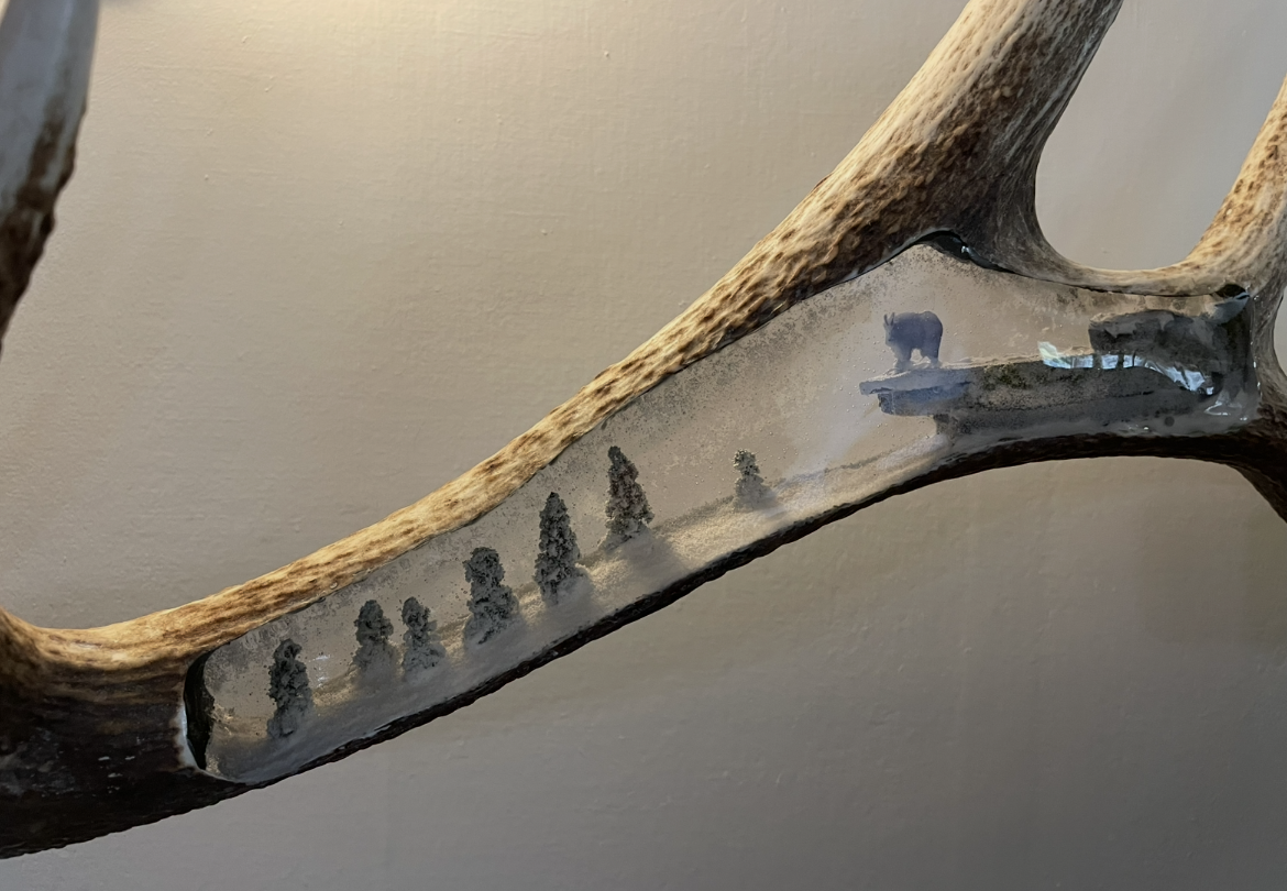 View recent photos 7.png