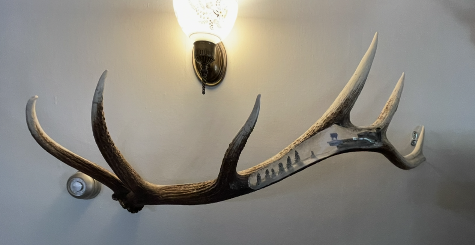 Winter mountain goat