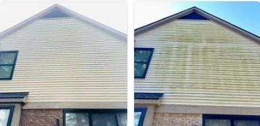 Before & After side of house.jpg