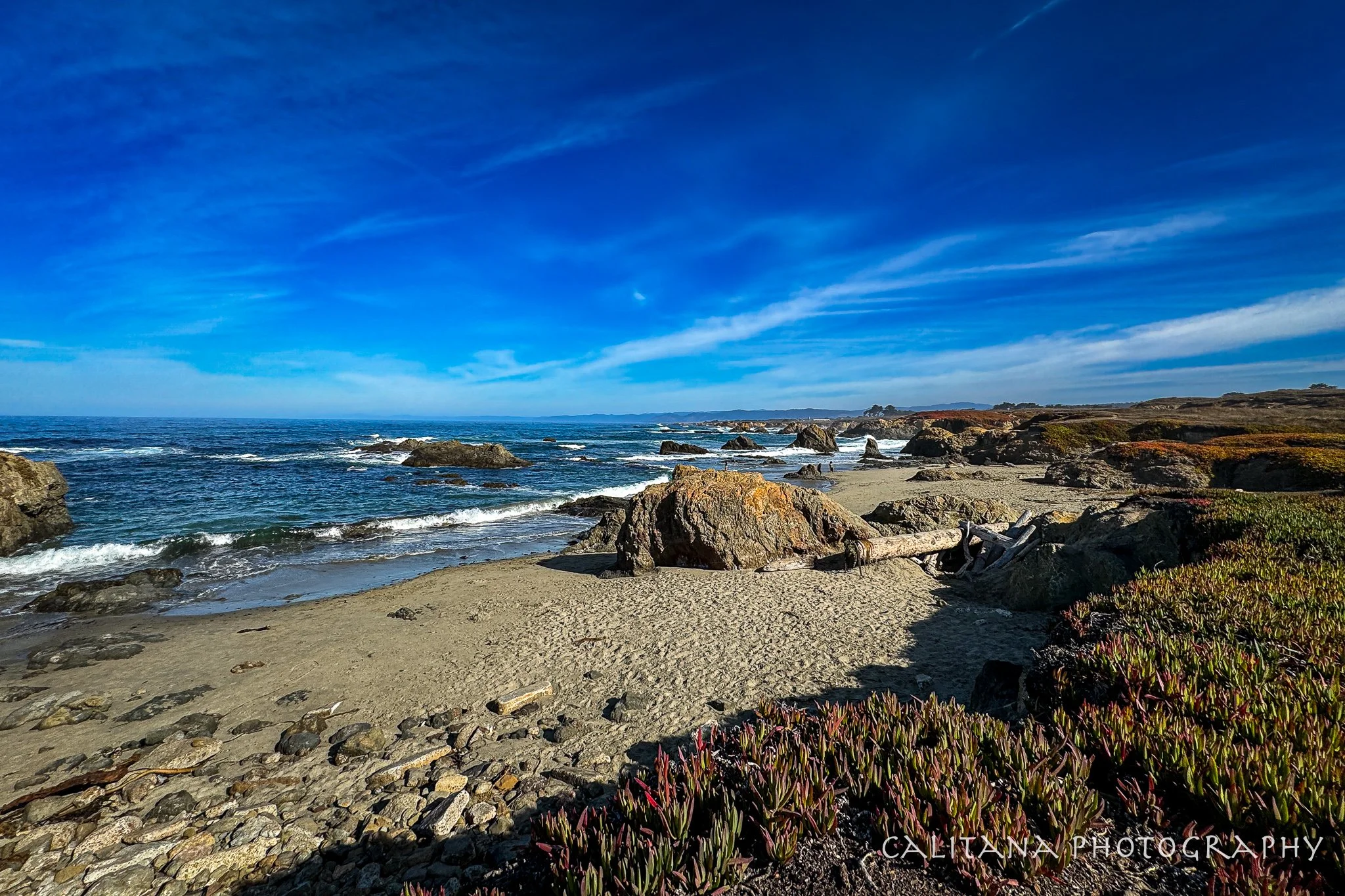Coastal Open Shoreline