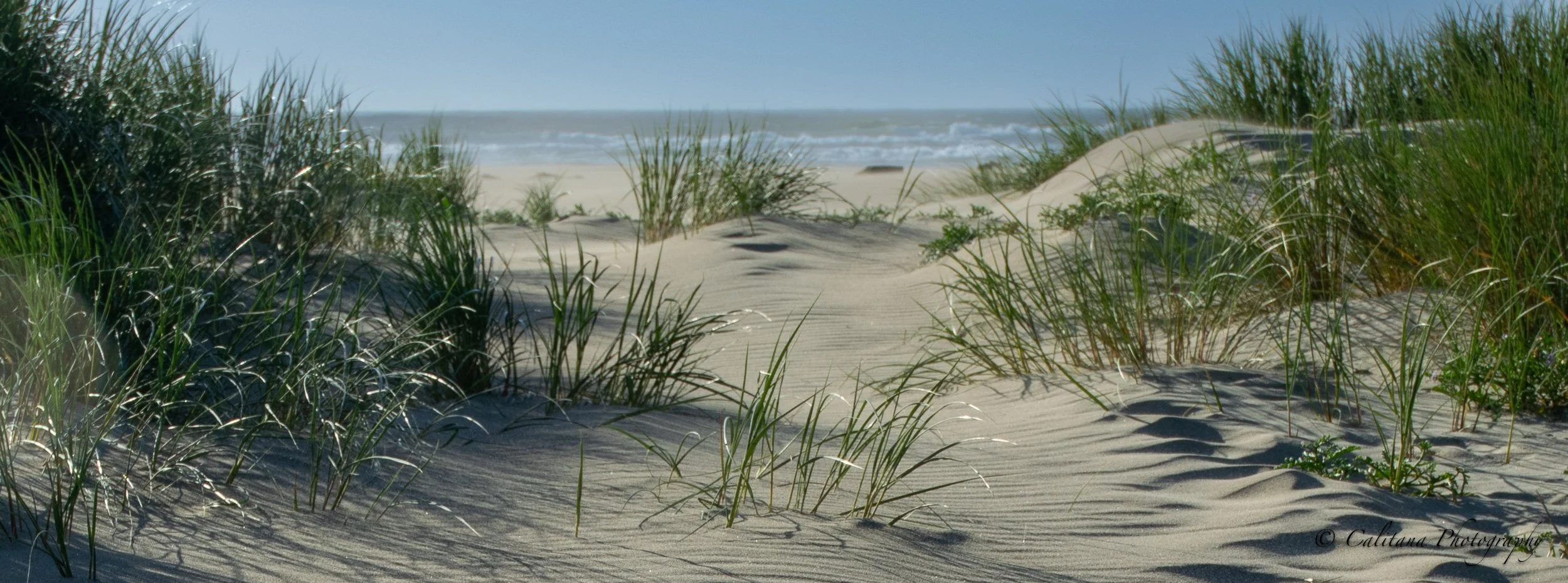 Calitana- Lead Me to the Ocean