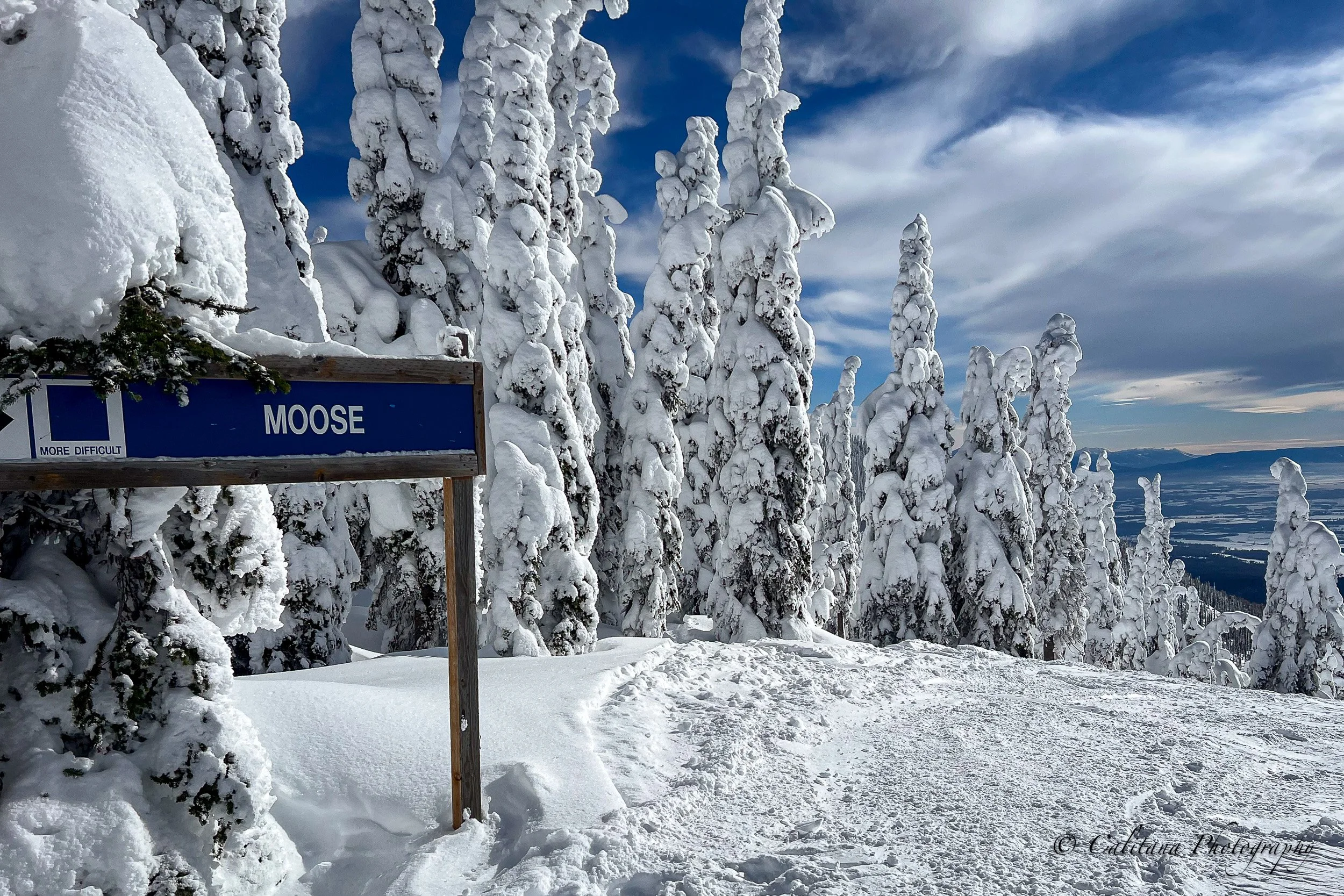 Moose Ridge