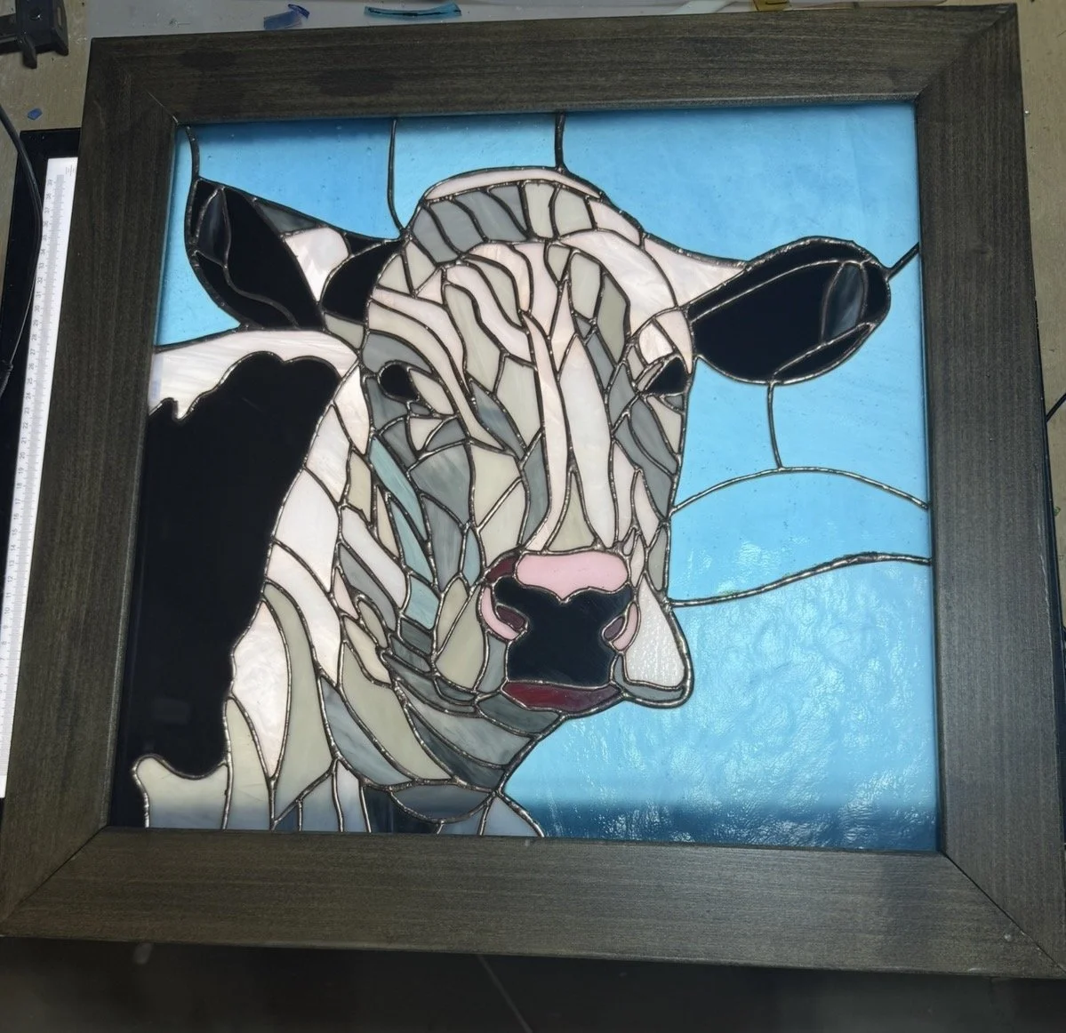 Cow Portrait