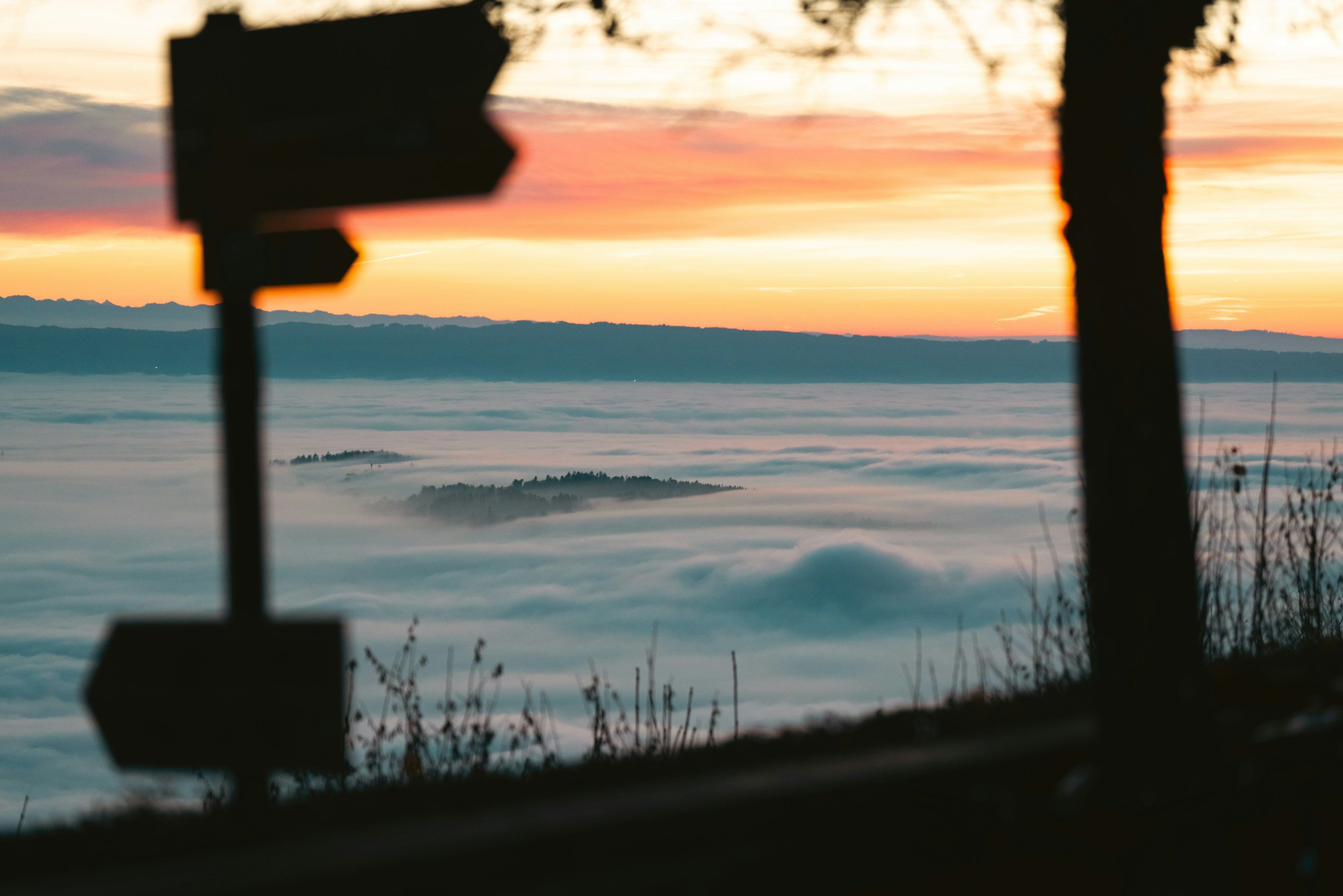 Scenic sunrise landscape symbolizing vision, leadership, clarity, and long‑term strategic direction