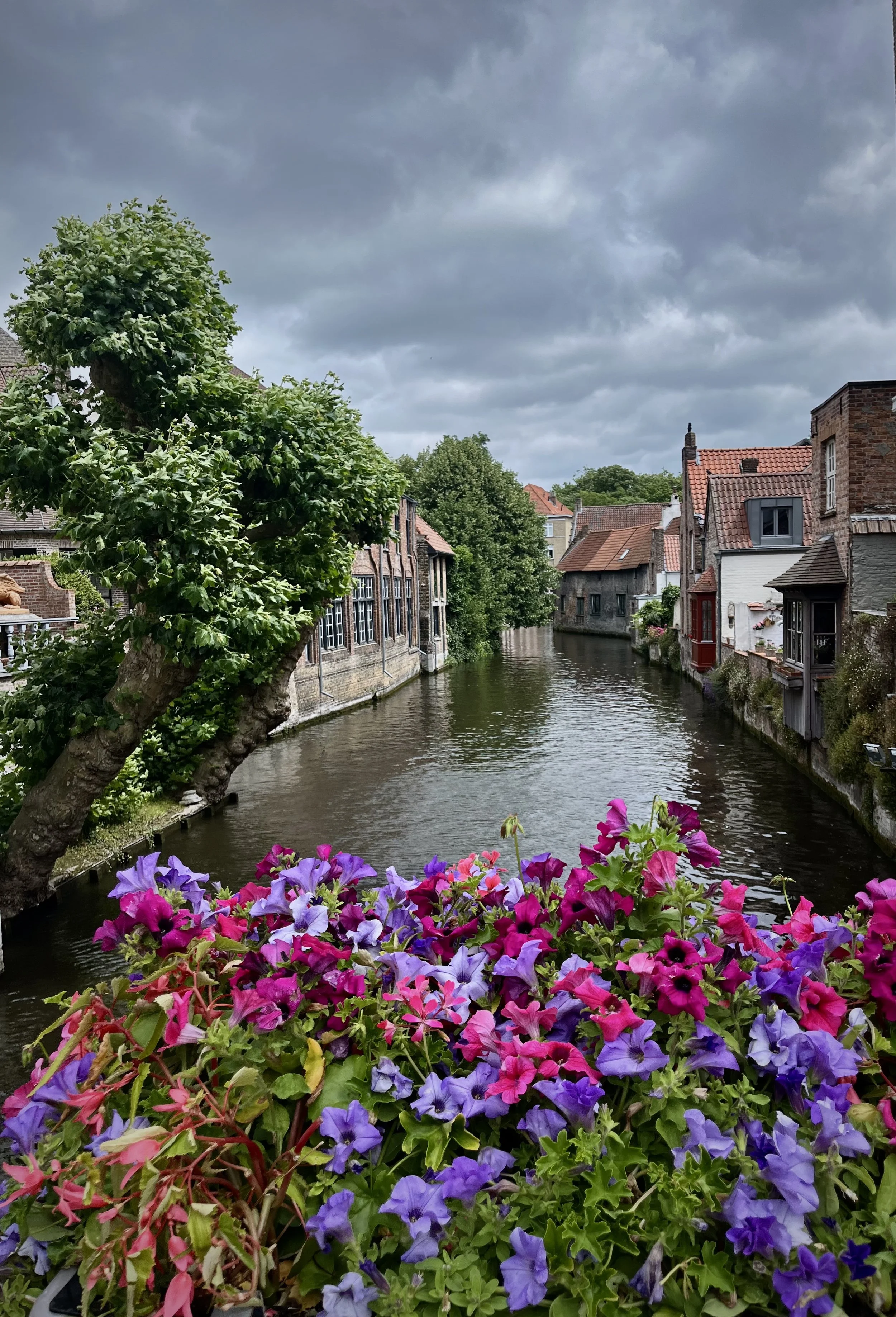 bruges-canal-flowers-bridge.jpeg
