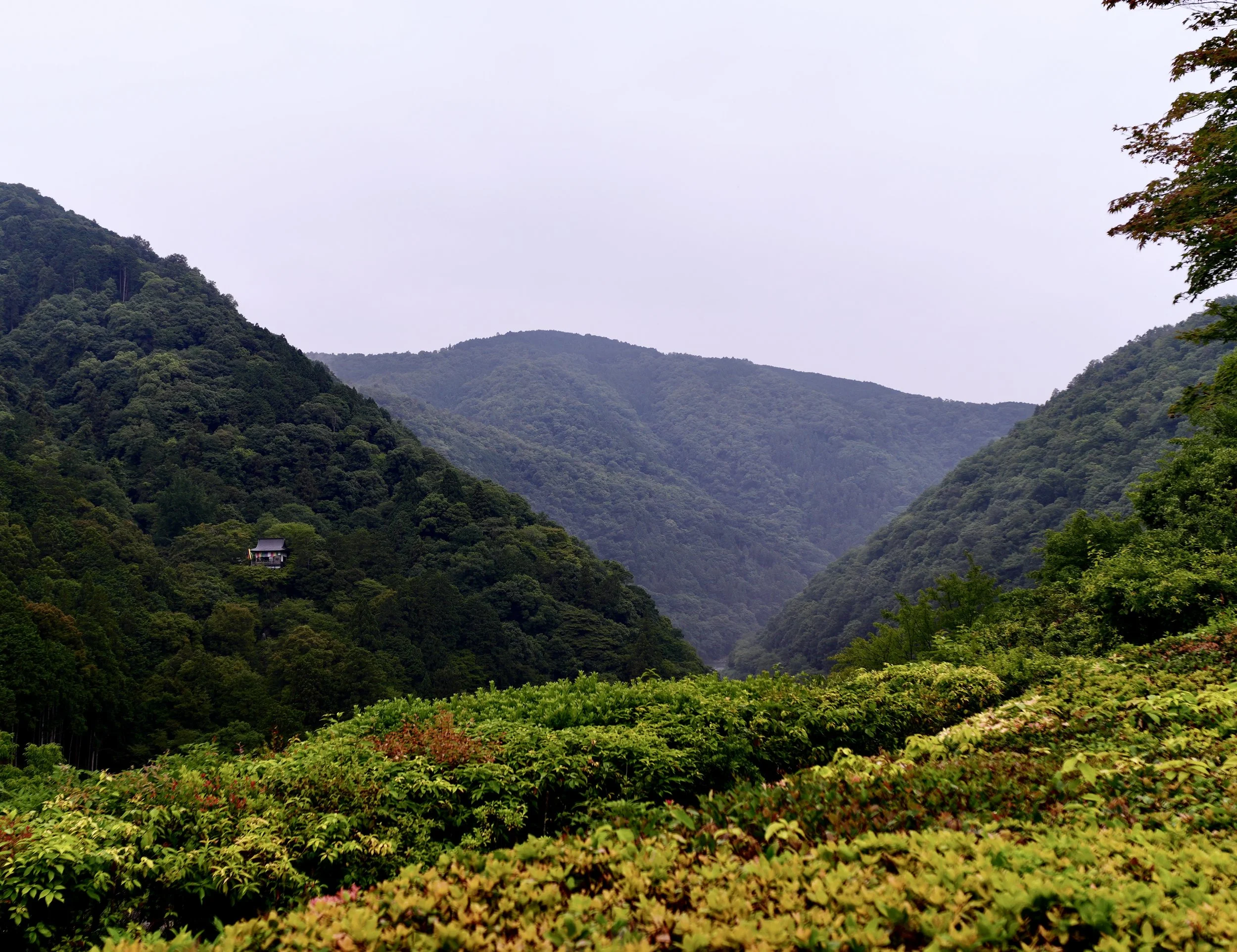 DSC01470.JPG