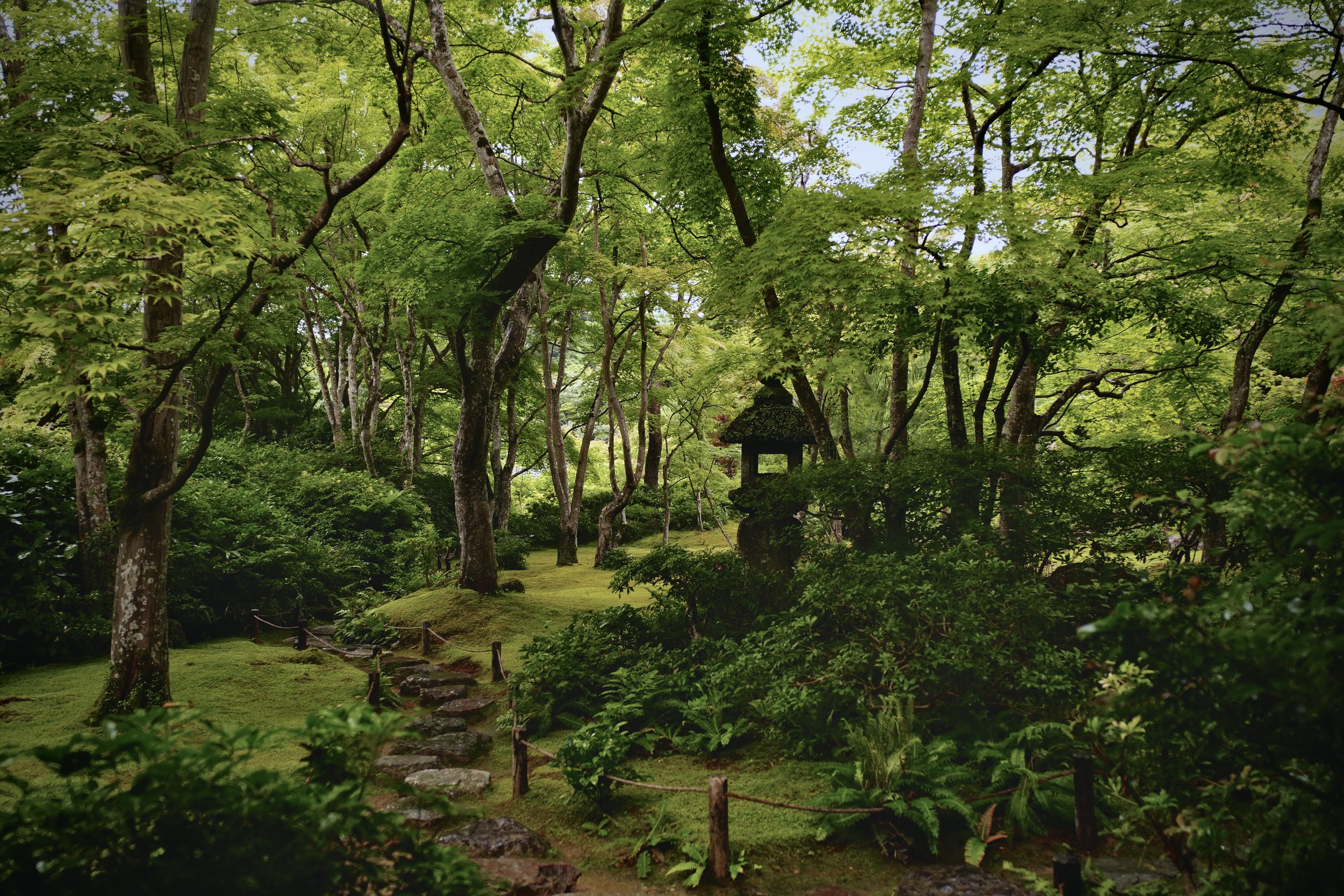 Ōkōchi Sansō green and lush gardens