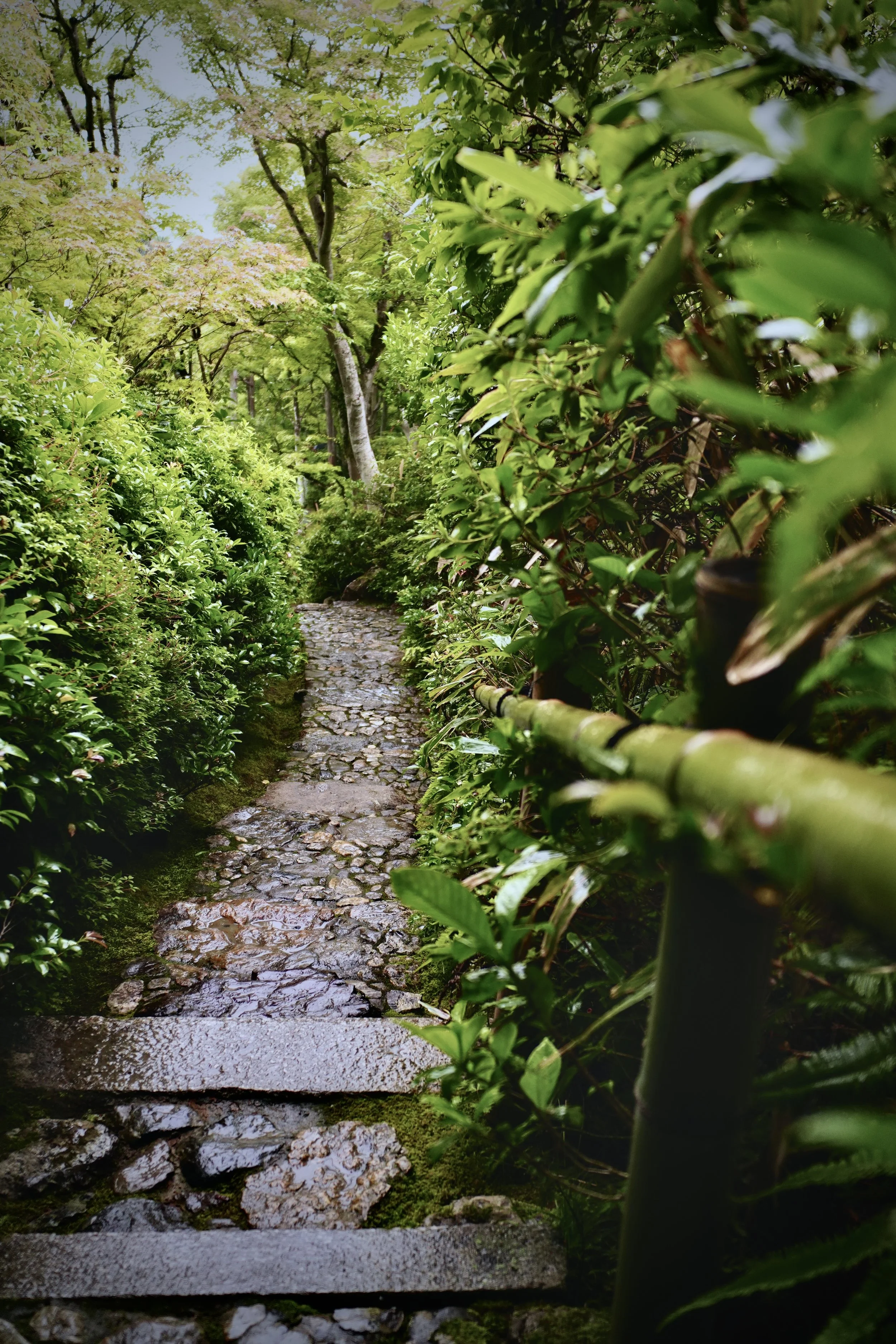 A Day Tour of Ōkōchi Sansō, the Film Star's Mountain Estate in Kyoto