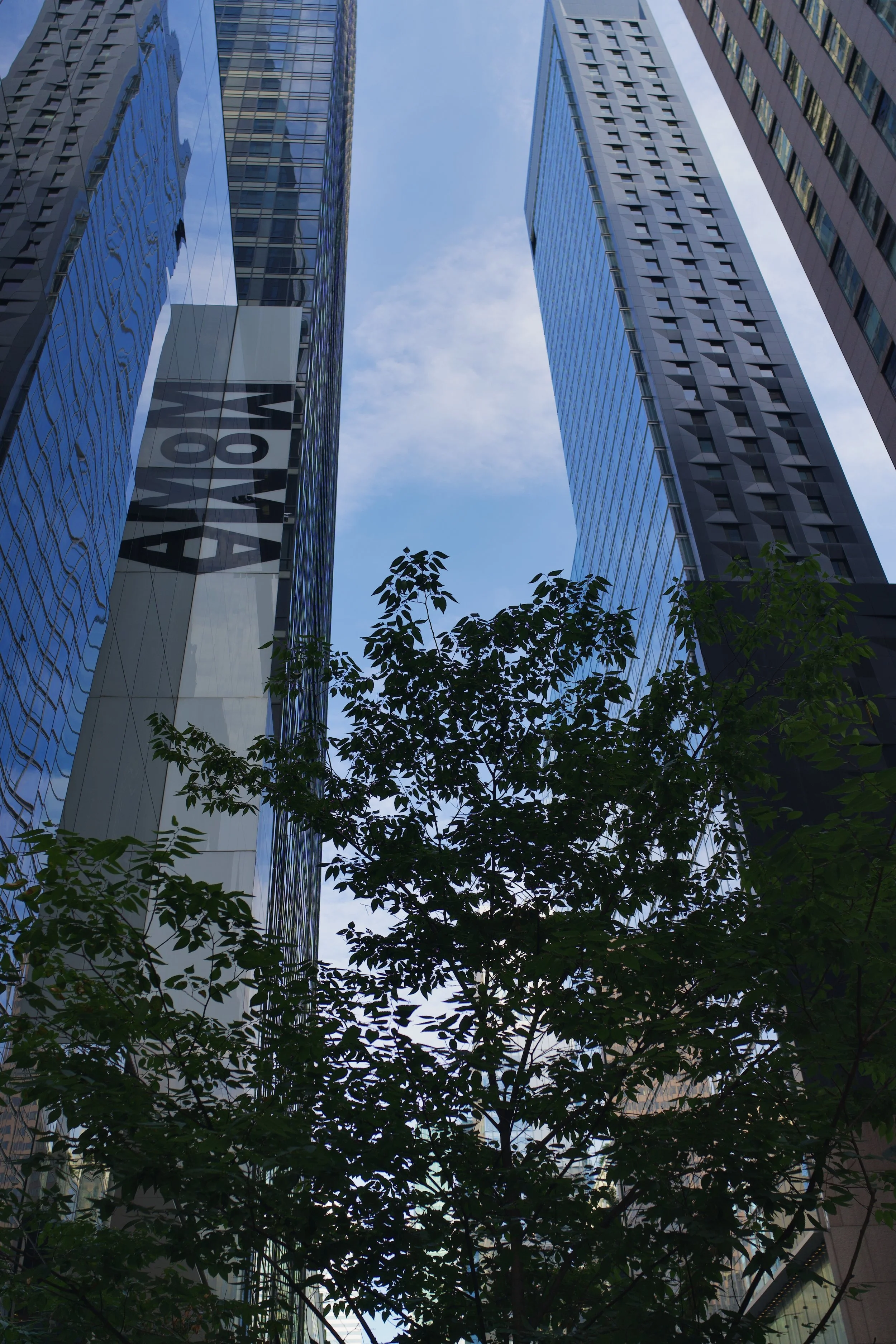 A Connection Through Architecture and Zen: The MoMA in New York City and D.T. Suzuki Museum in Kanazawa