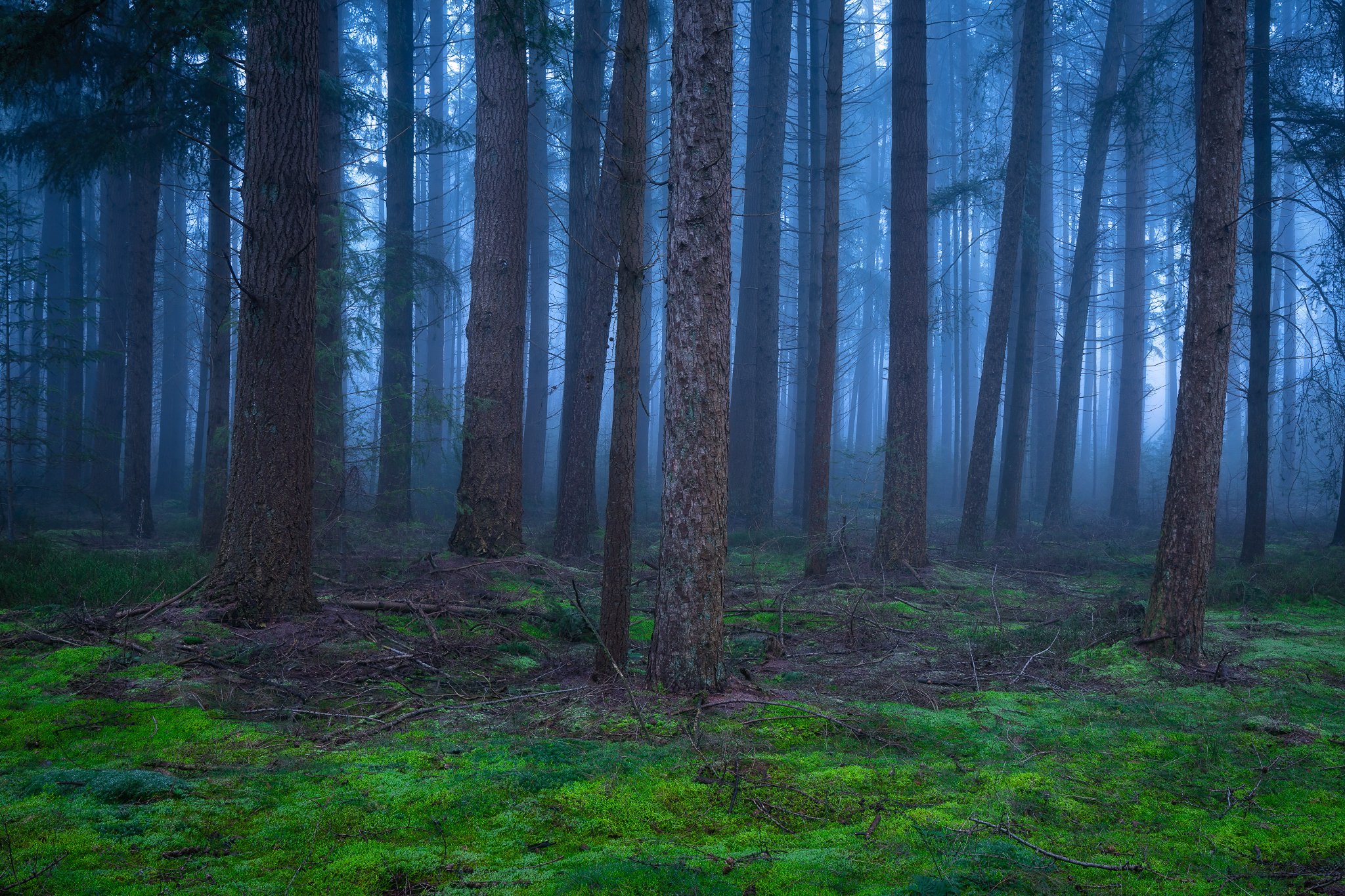 _N0A3191-Editar_2048x1365_U_100_Original ratio.jpg