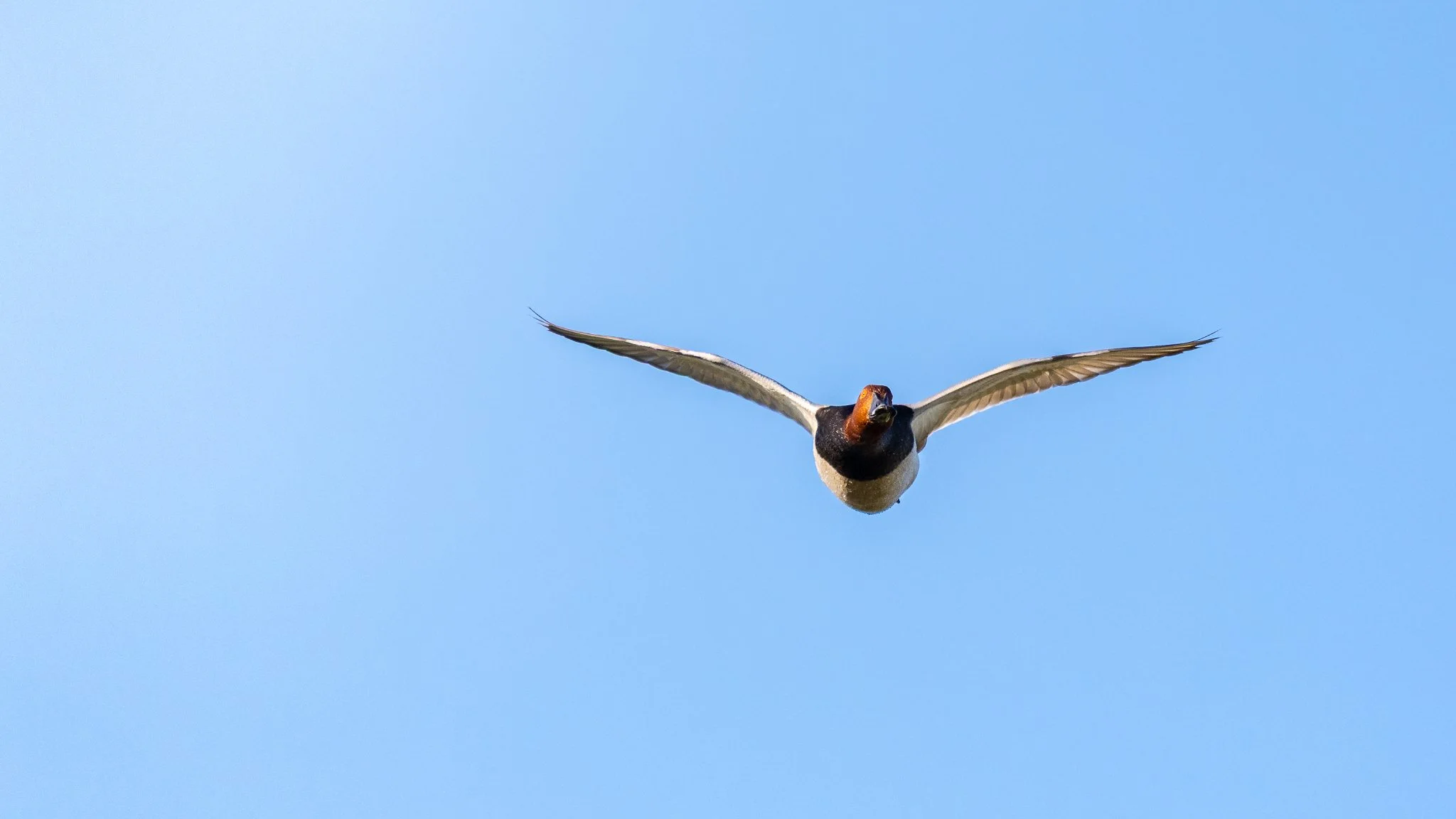 _N0A3984_2048x1152_U_100_Original ratio.jpg