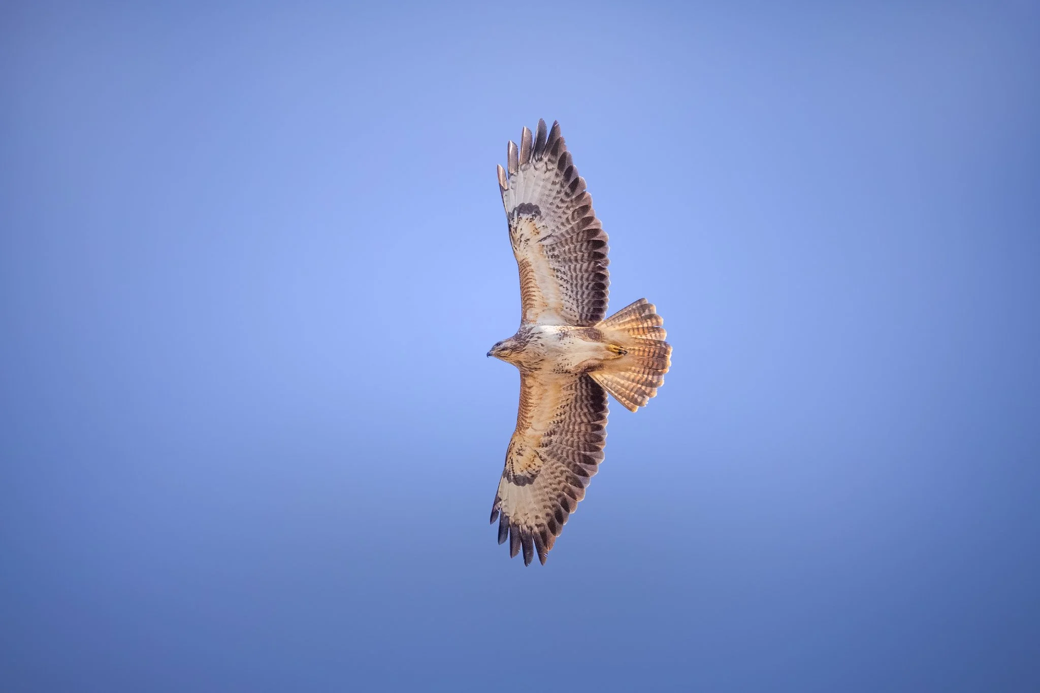 _N0A0754-Editar_2048x1365_U_100_Original ratio.jpg