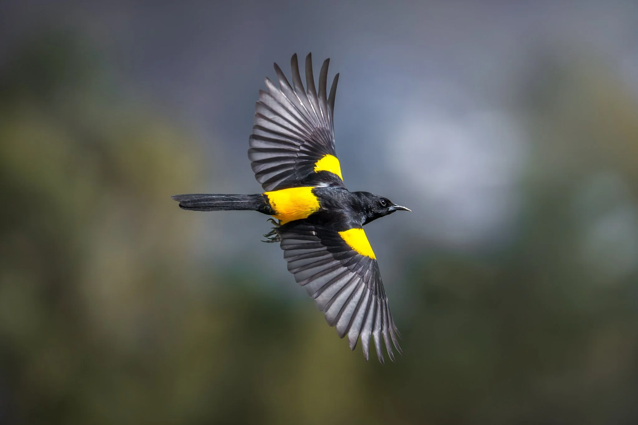 _Q0A2014-Editar_Original ratio_2048x1365_U_100.jpg