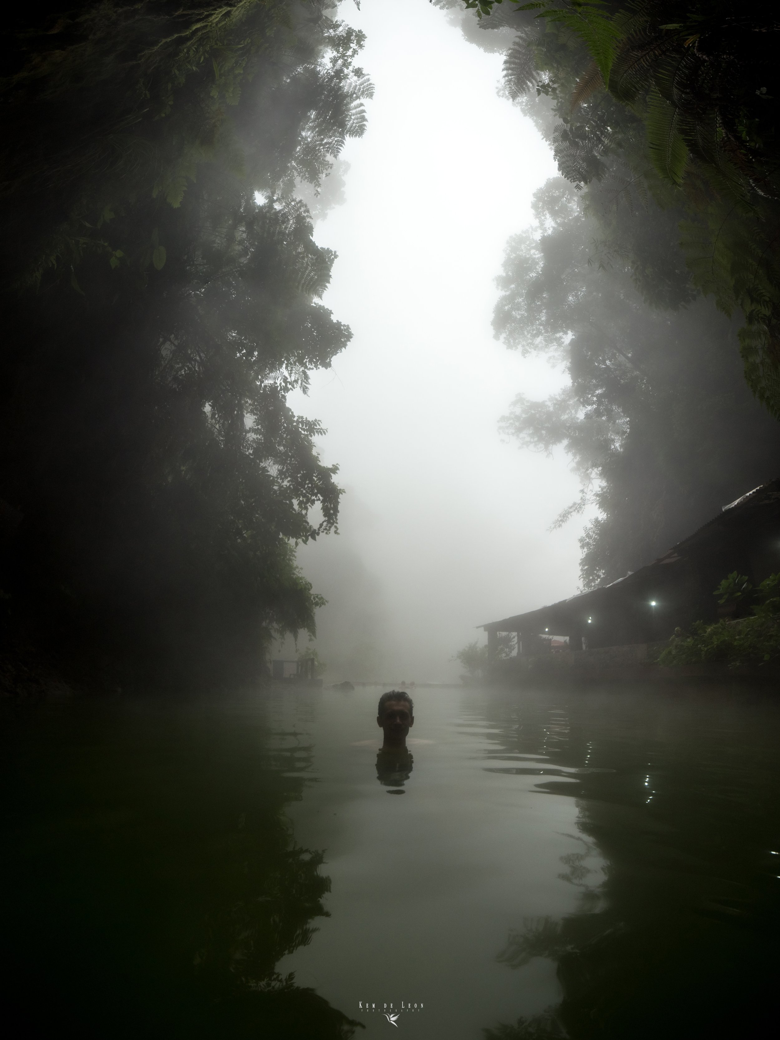 Person swimming in a foggy natural hot spring with lush green trees surrounding the water.