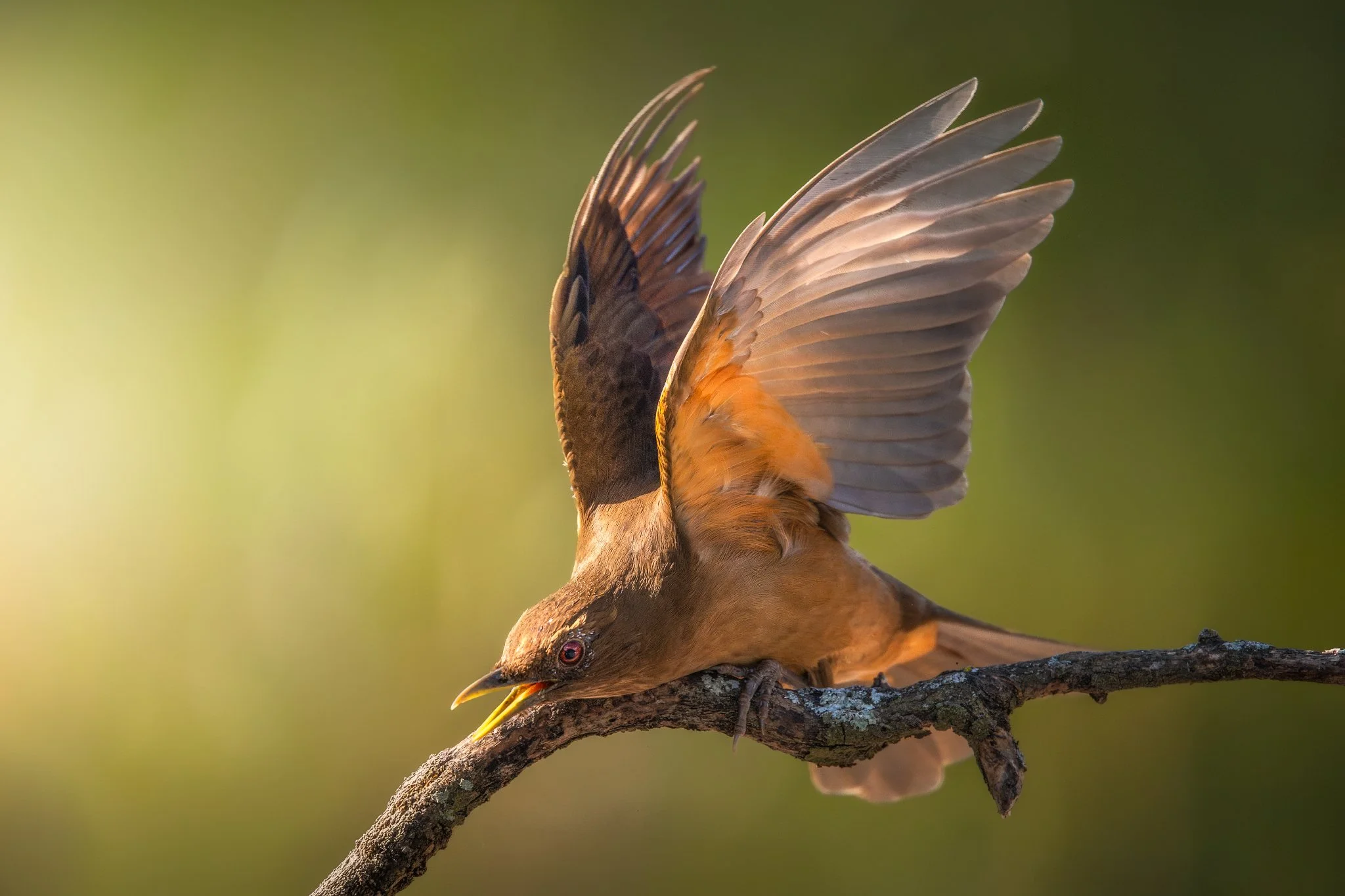 _Q0A4059_Original ratio_2048x1365_U_100.jpg