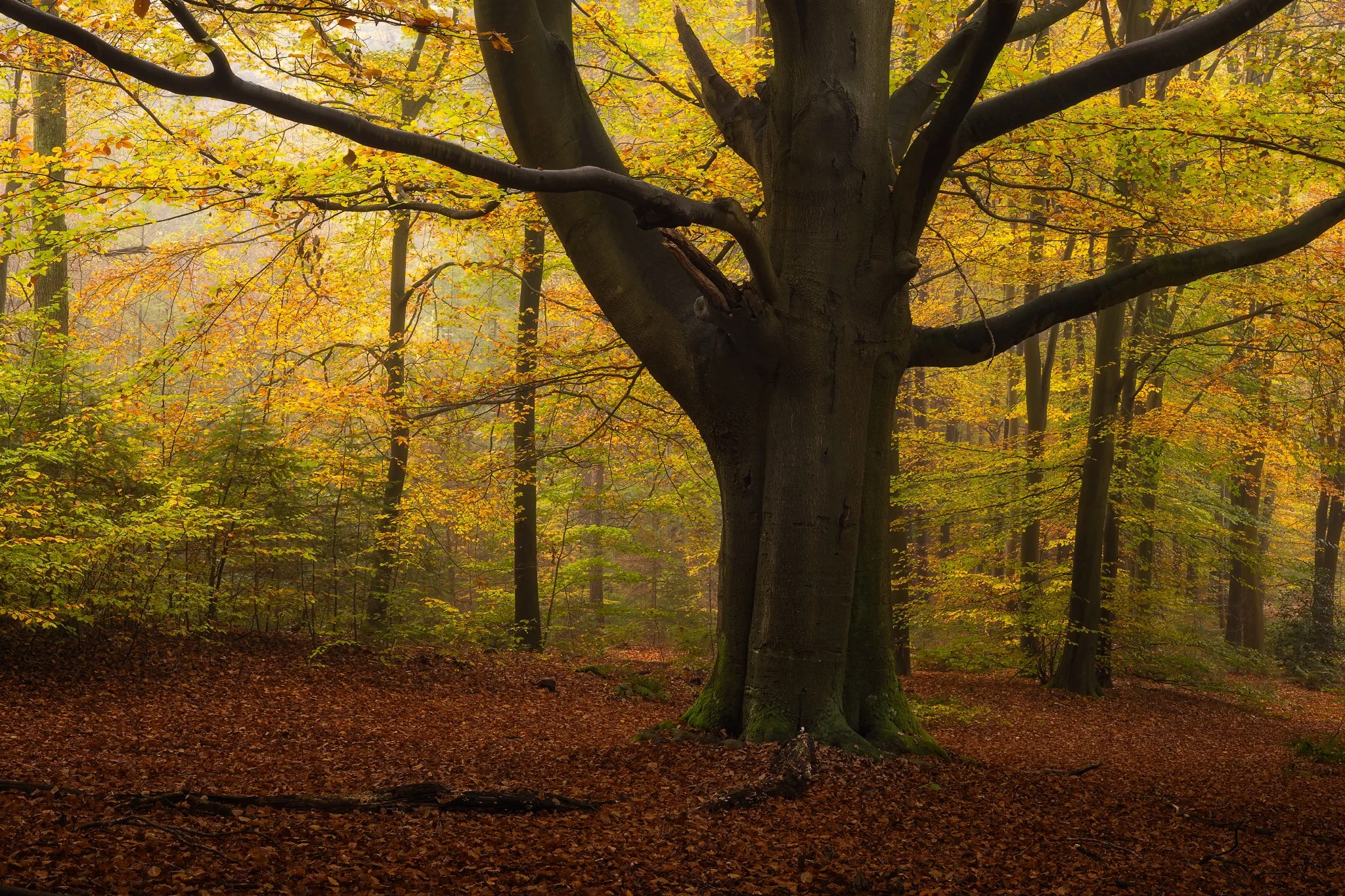 _N0A7157-Edit_2048x1365_U_110_Original ratio.jpg