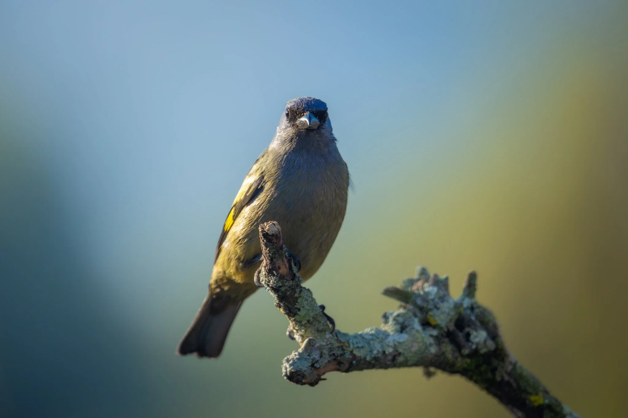 _Q0A0712-Editar_Original ratio_2048x1365_U_100.jpg