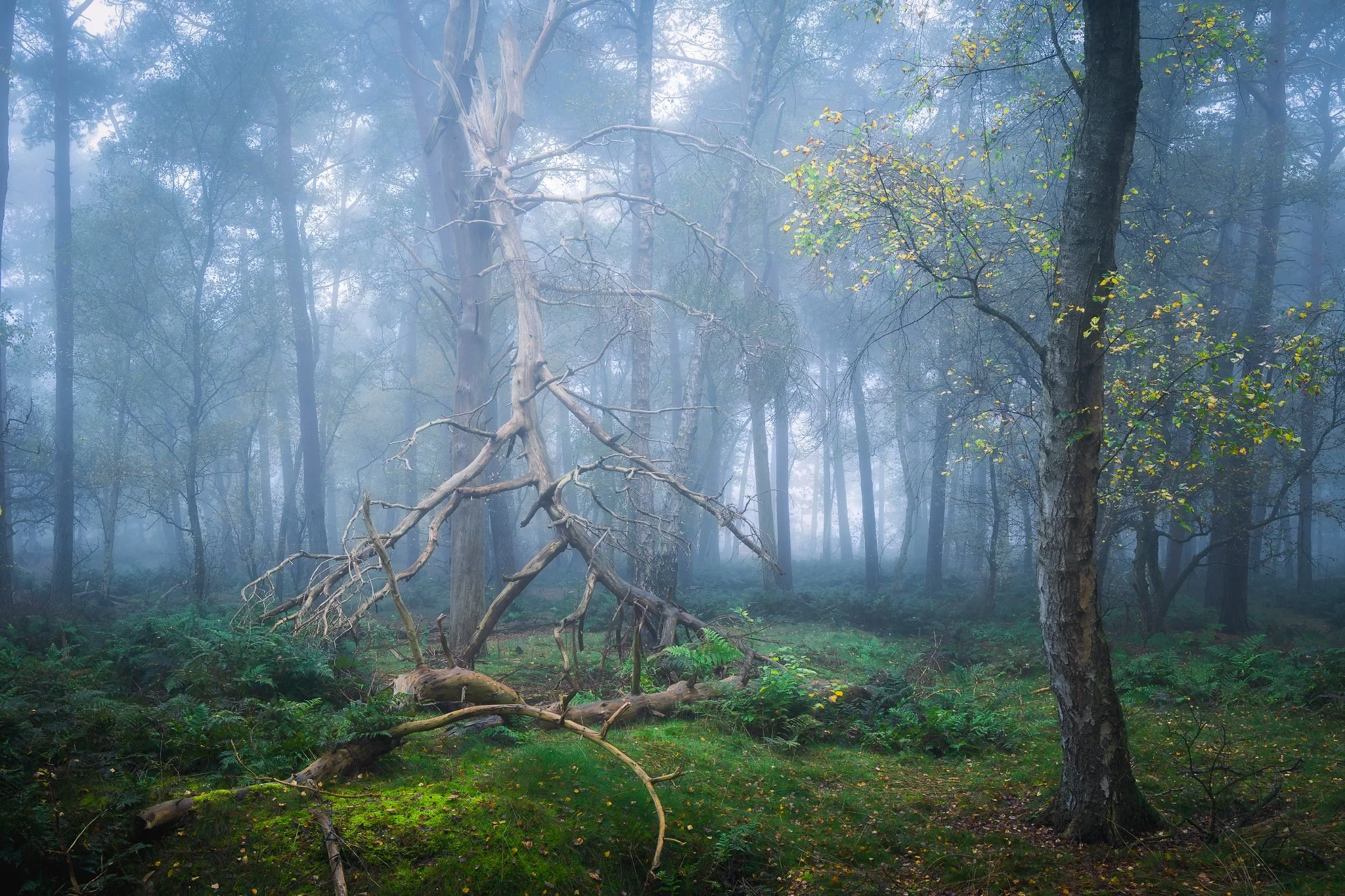 _N0A6864_2048x1365_U_110_Original ratio.jpg